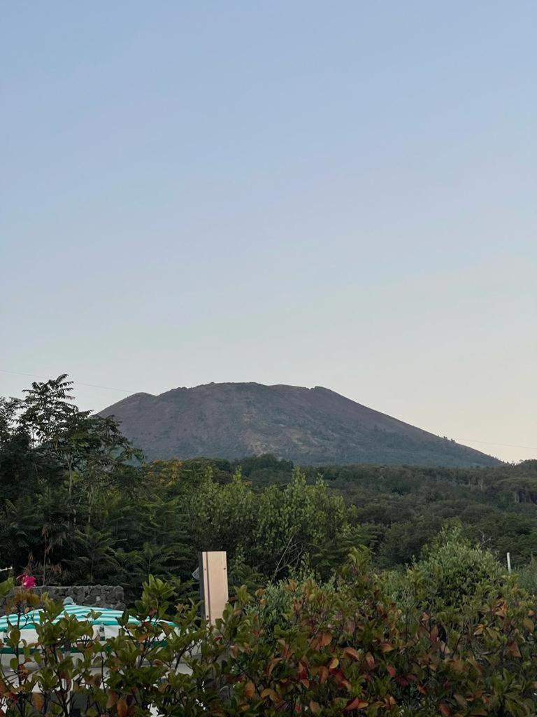 B&B Sunset en Ercolano — other