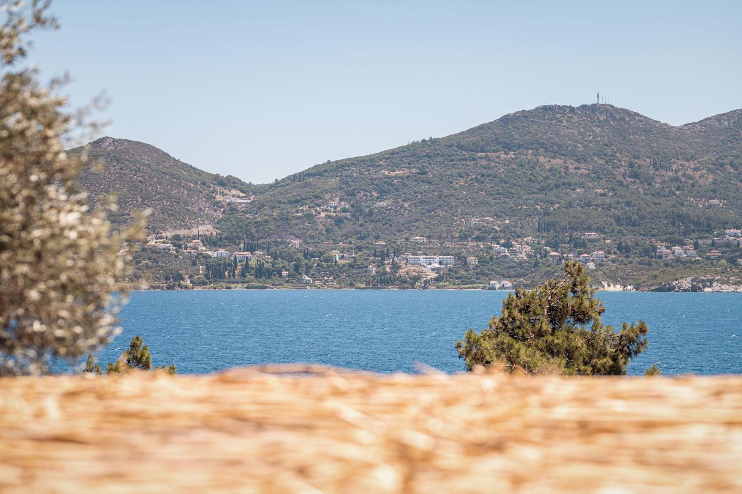 Blue Garden Samos Apartments photo 3