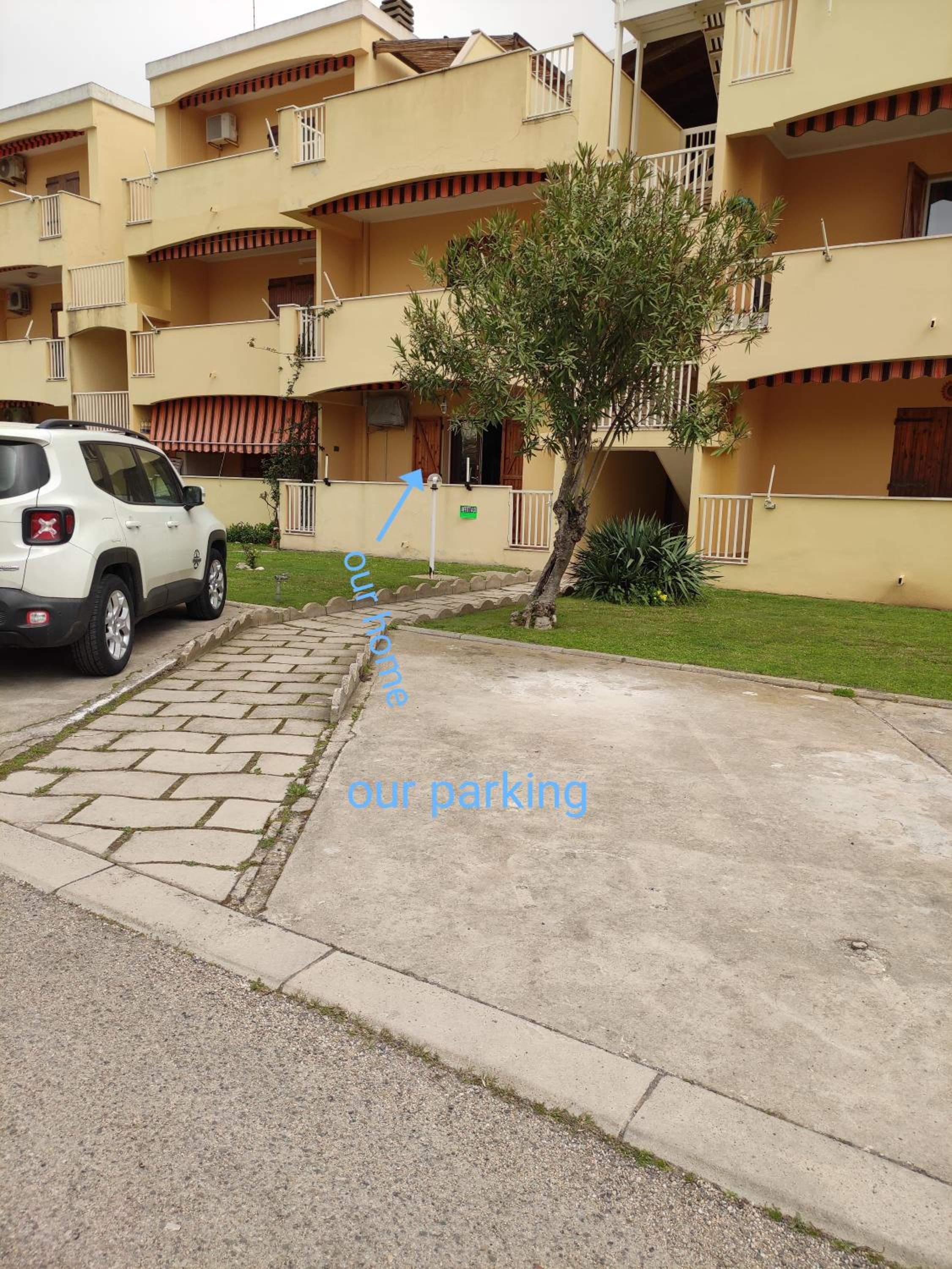 Photo 41