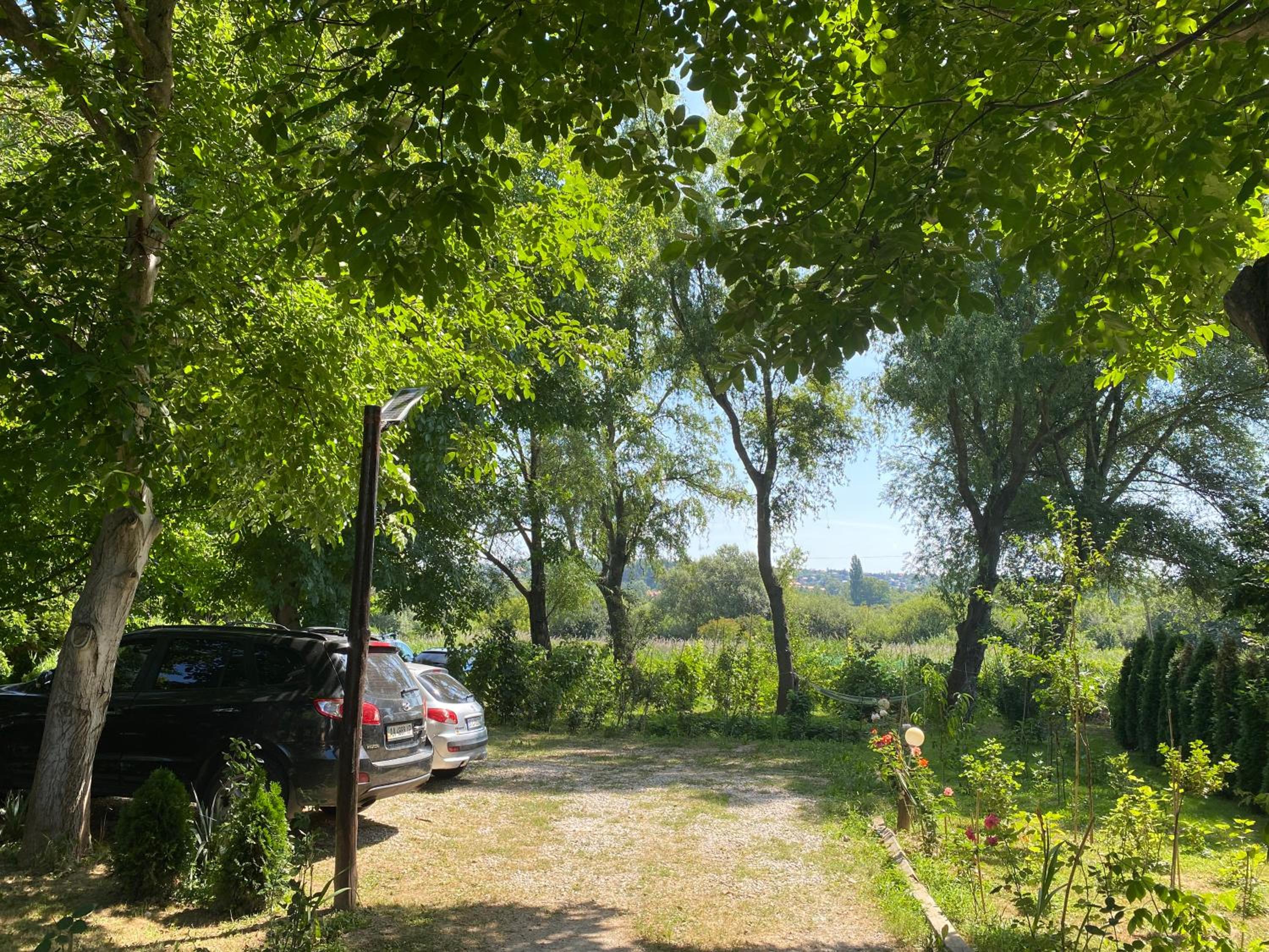 Photo 43