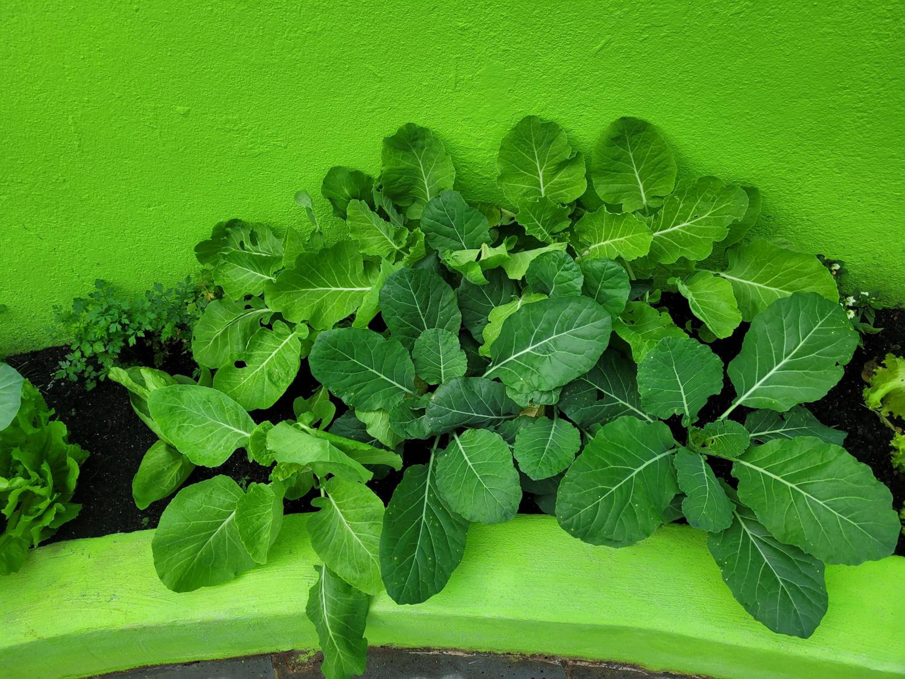 Pousada do sossego mar e verde 1,2 e 3