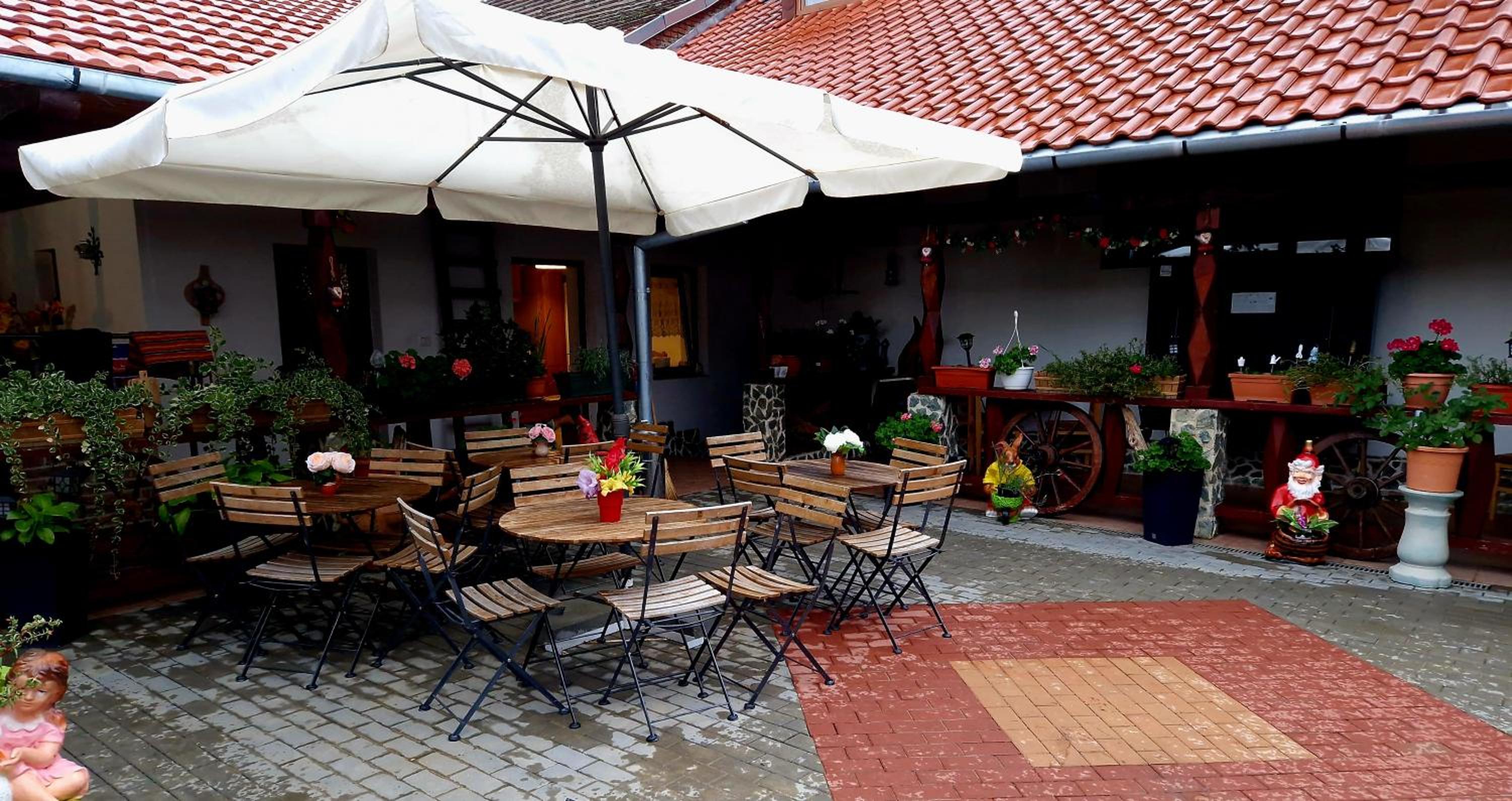 Mehadica House