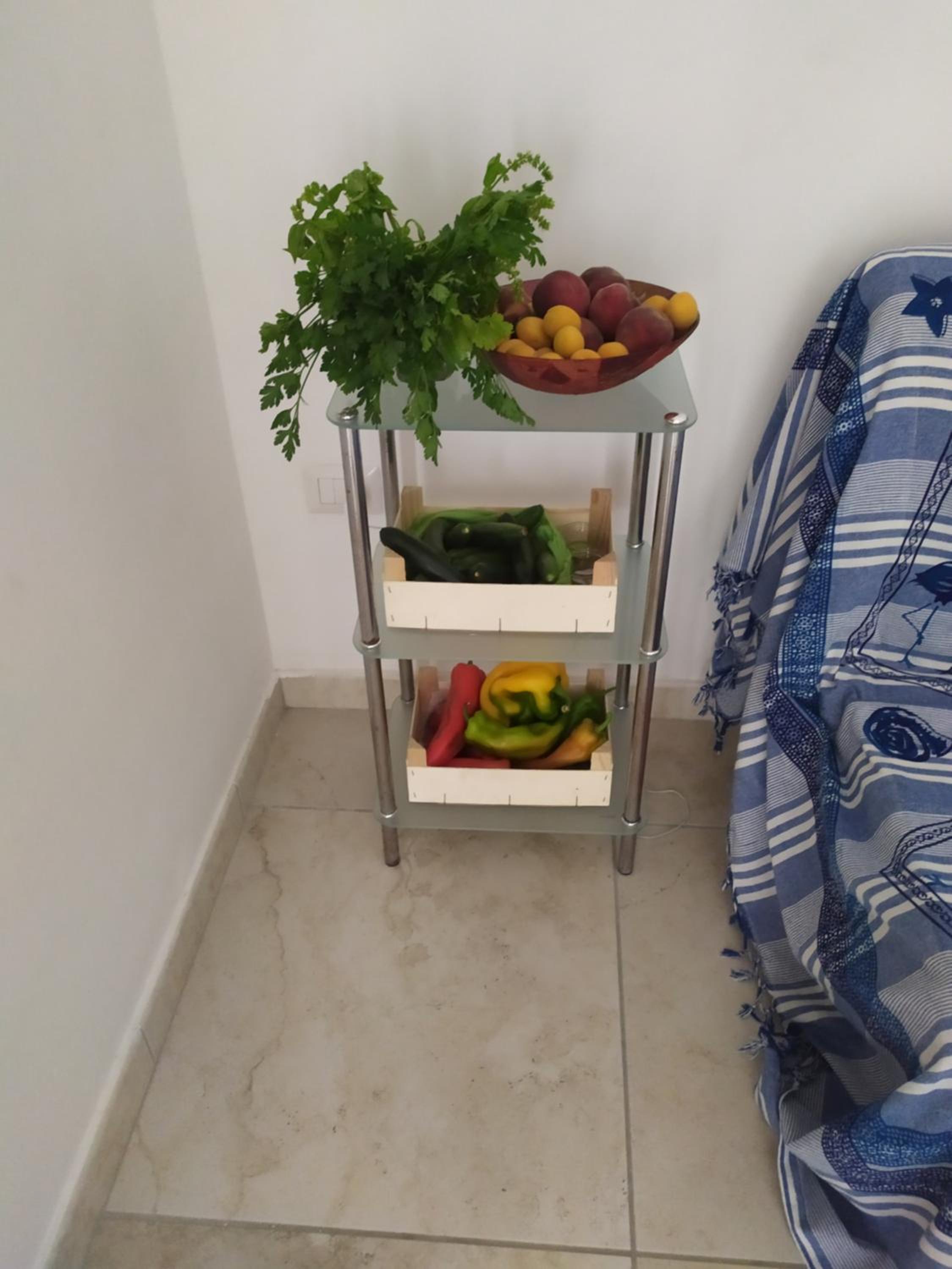 viagozzanotredici