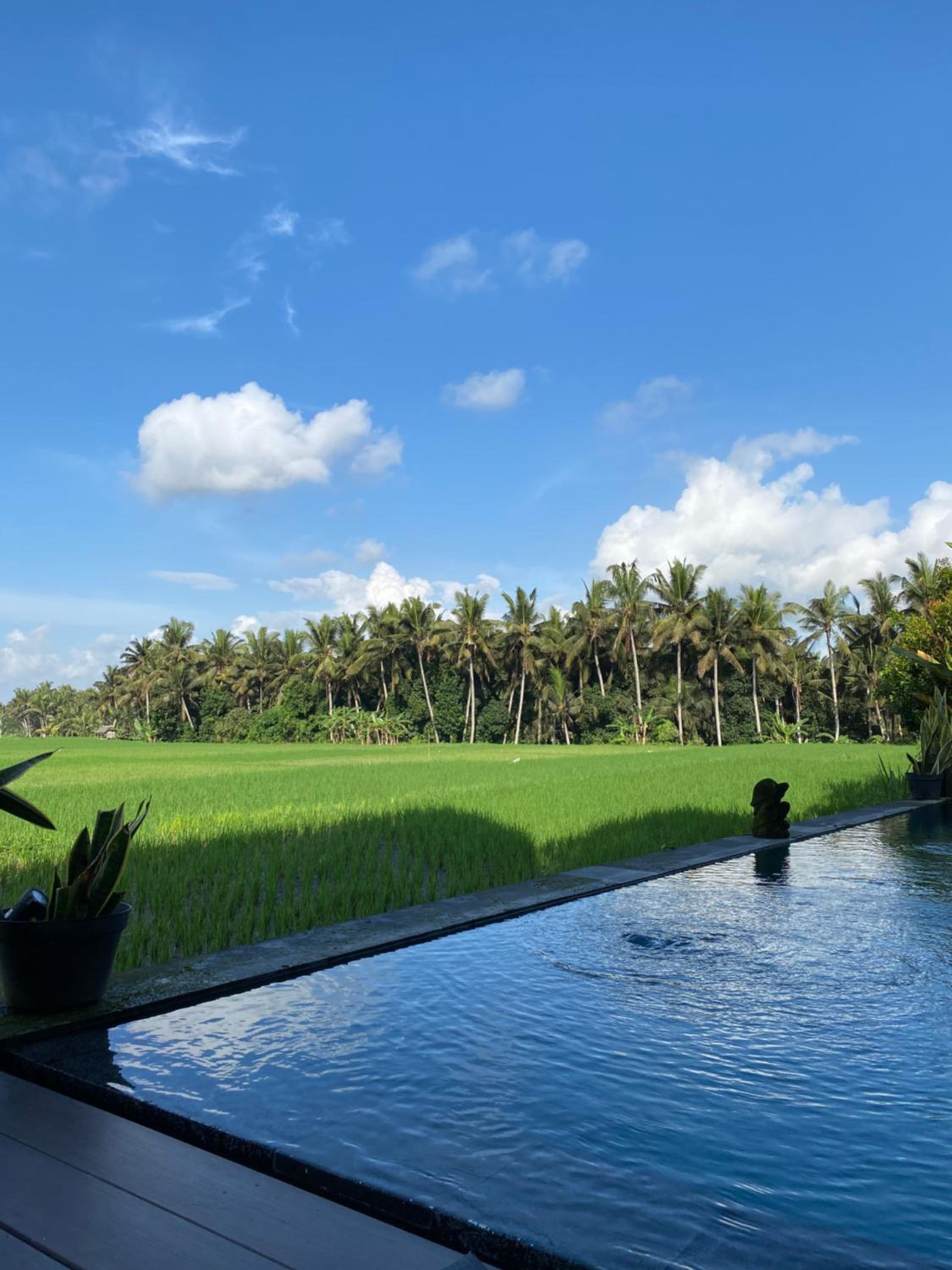 Casa Avana, Ubud - 16