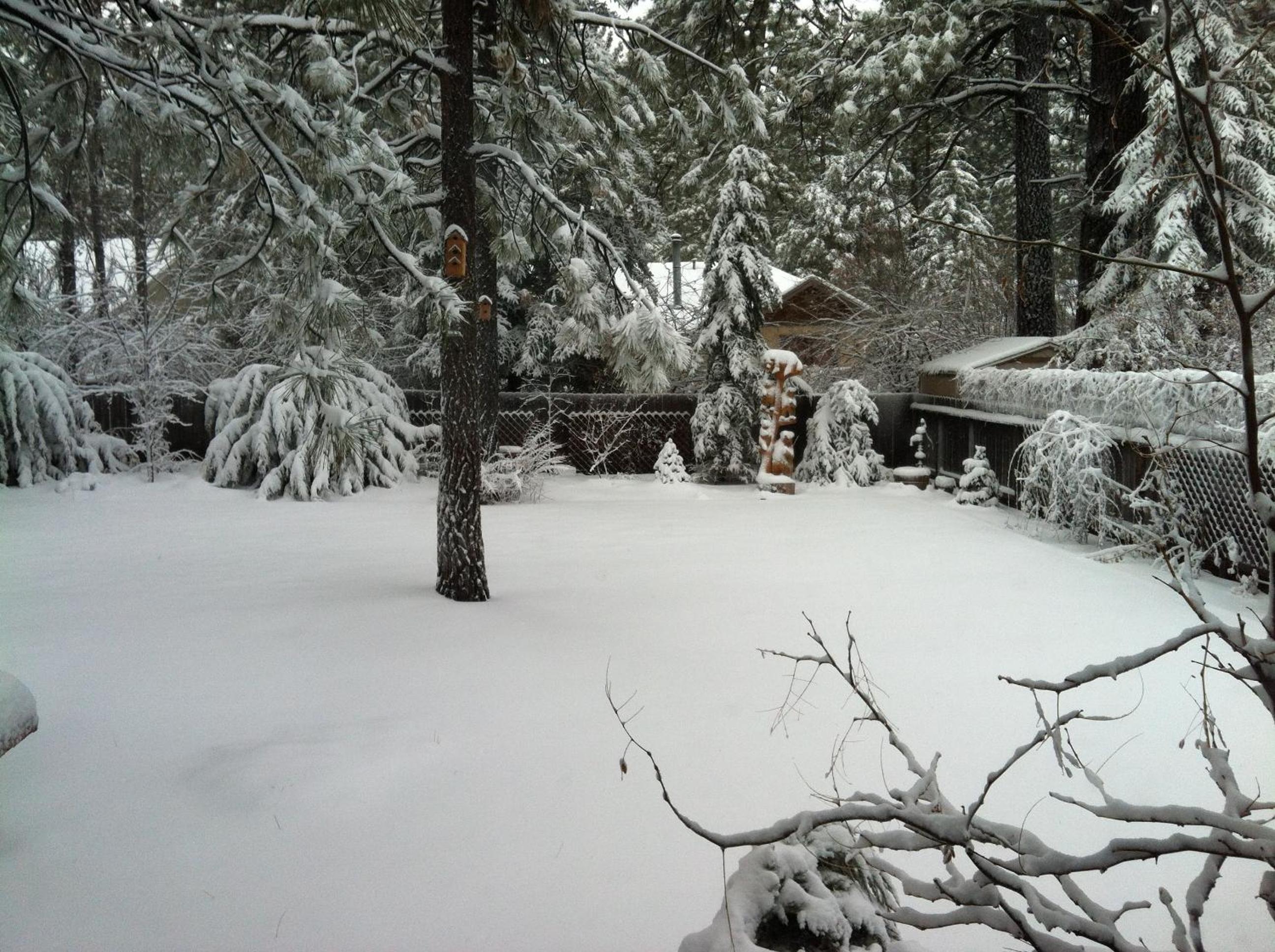 Photo 14