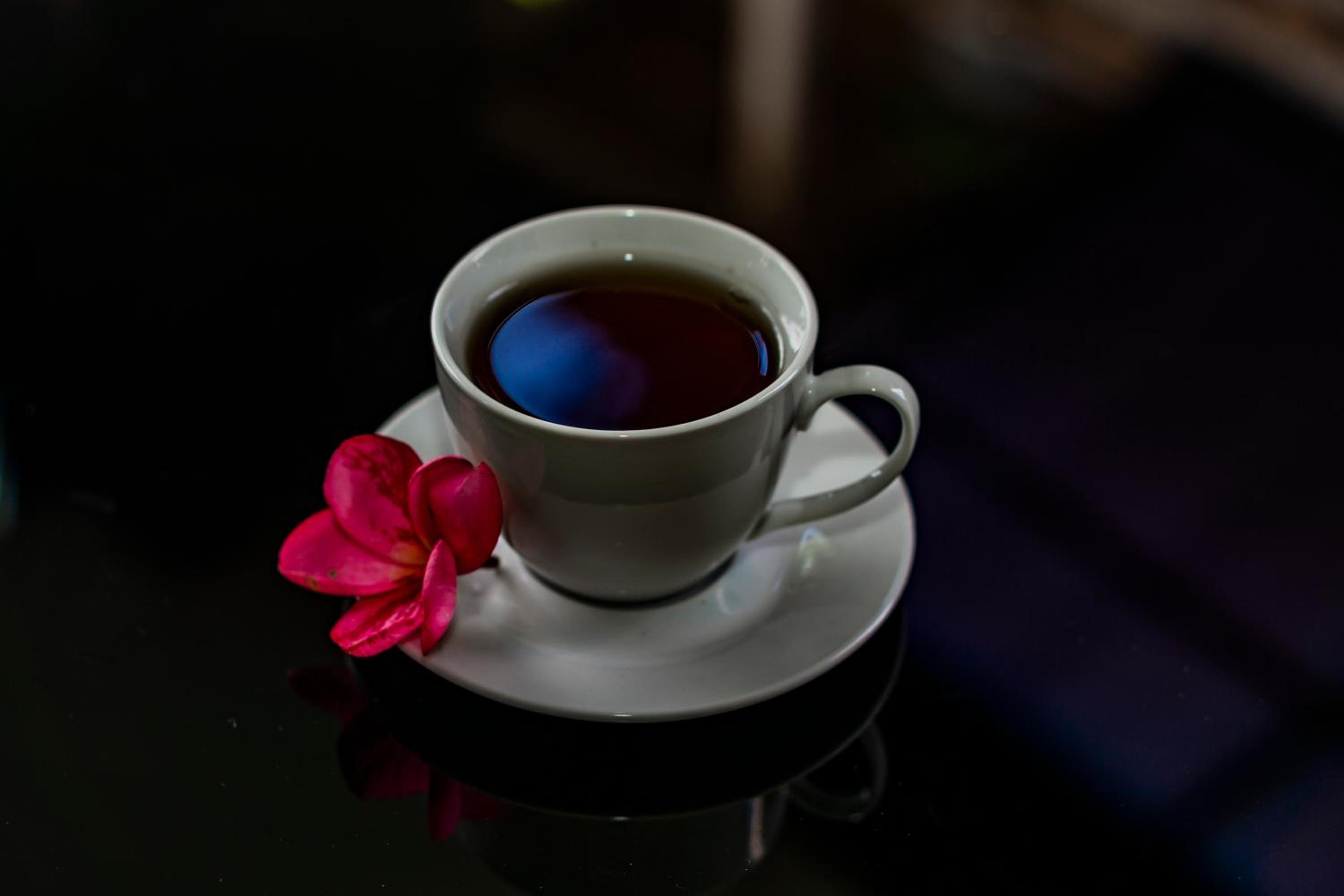 Kun - Kun Guest House Ubud