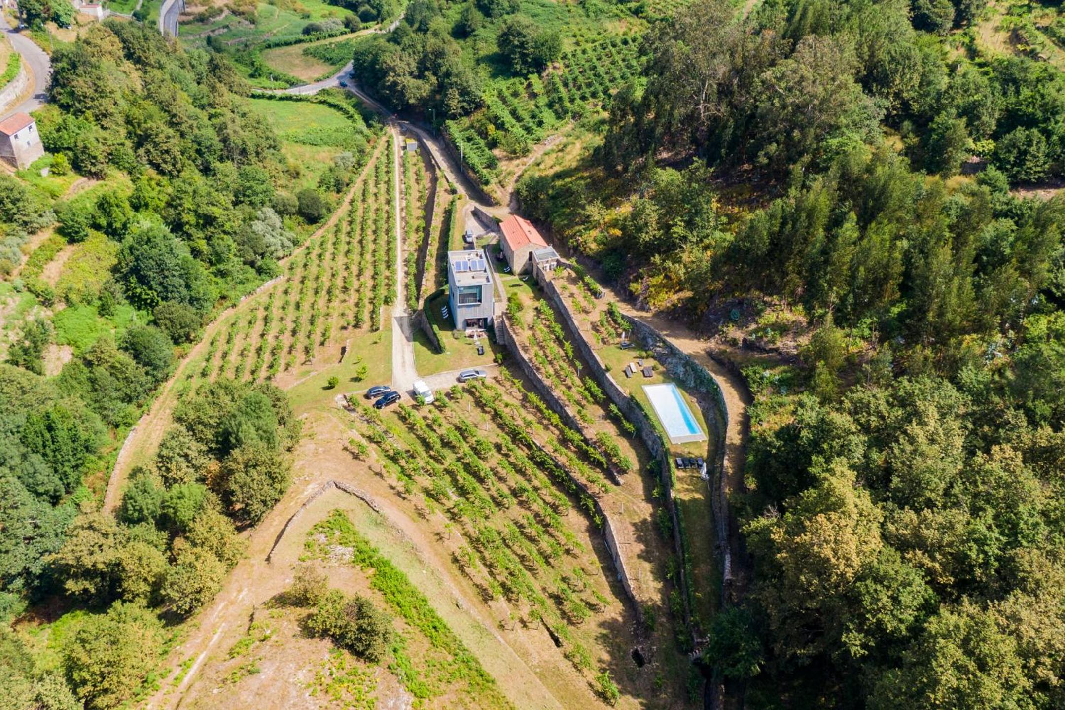 Melgaço Alvarinho Houses view 2
