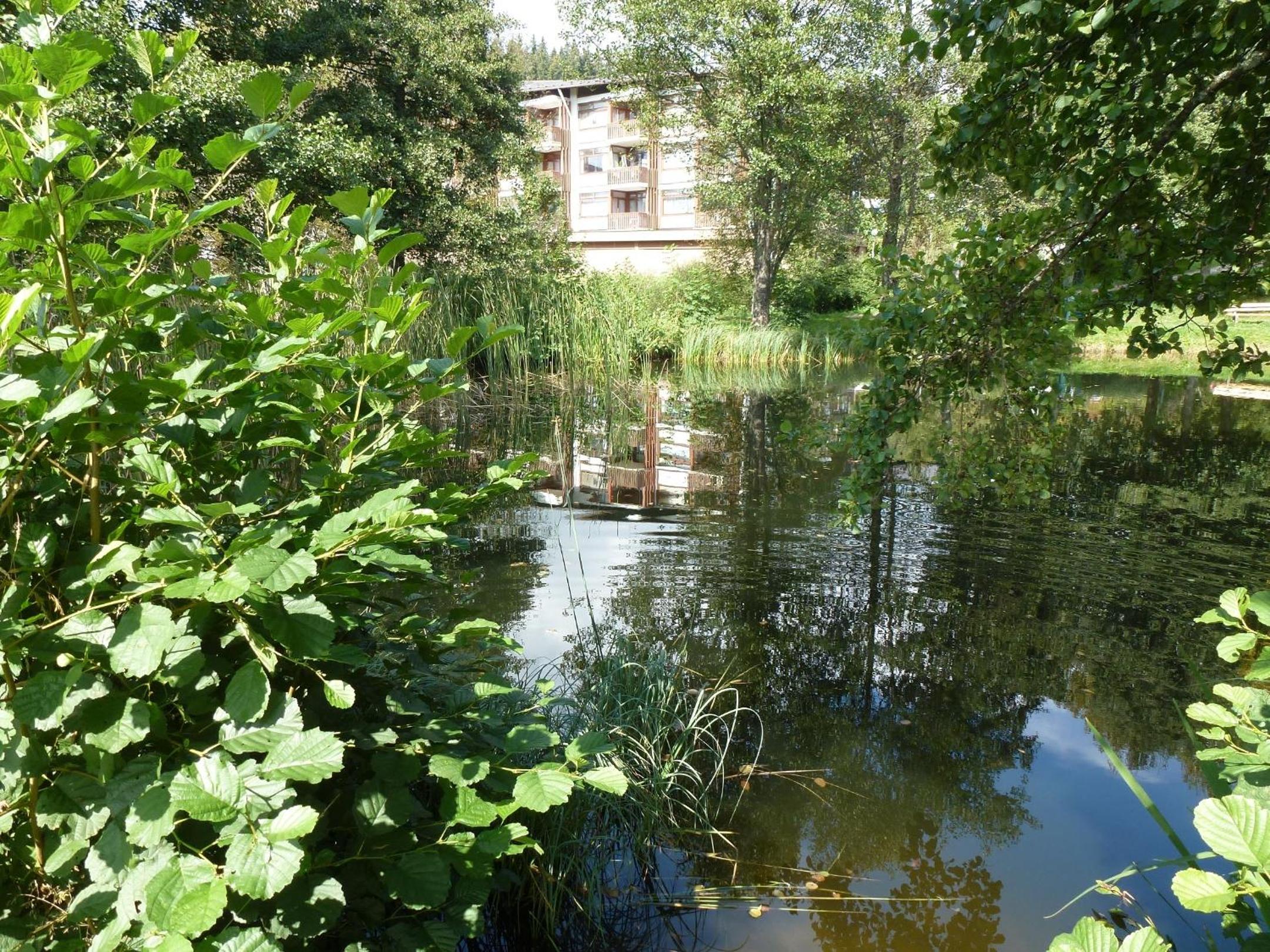 Photo 52
