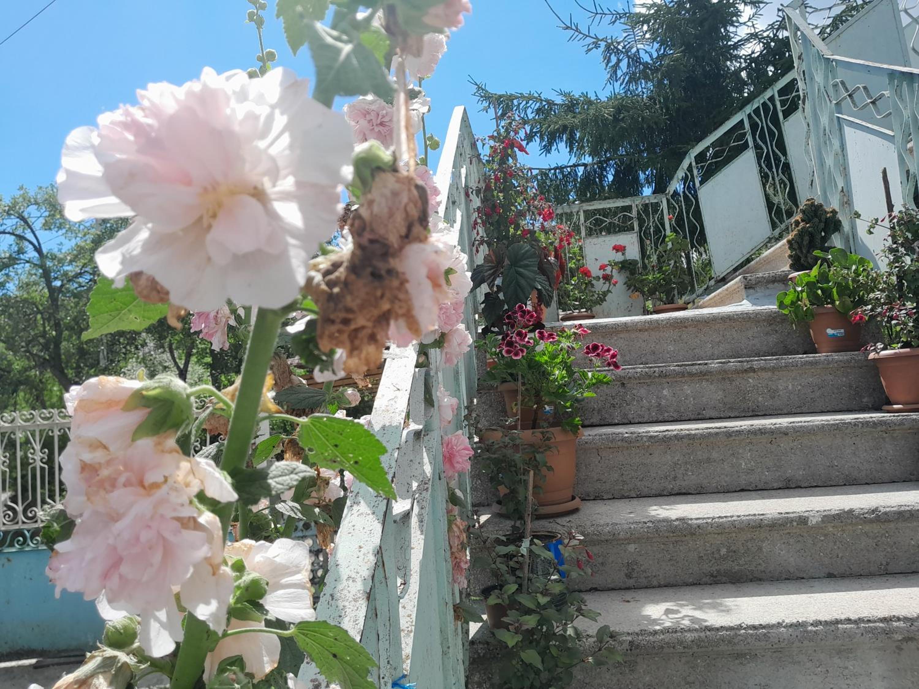Photo 43