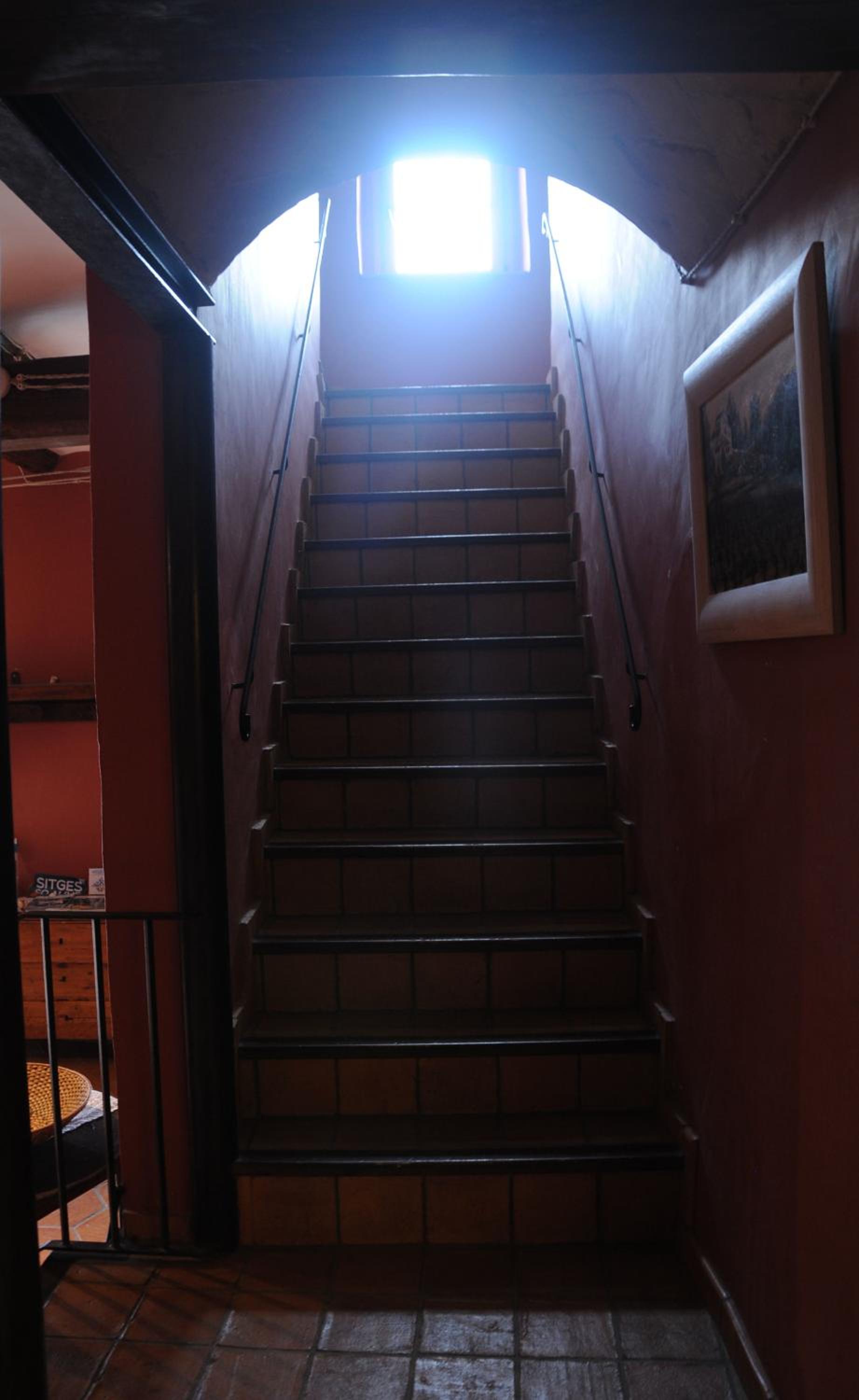 Photo 46