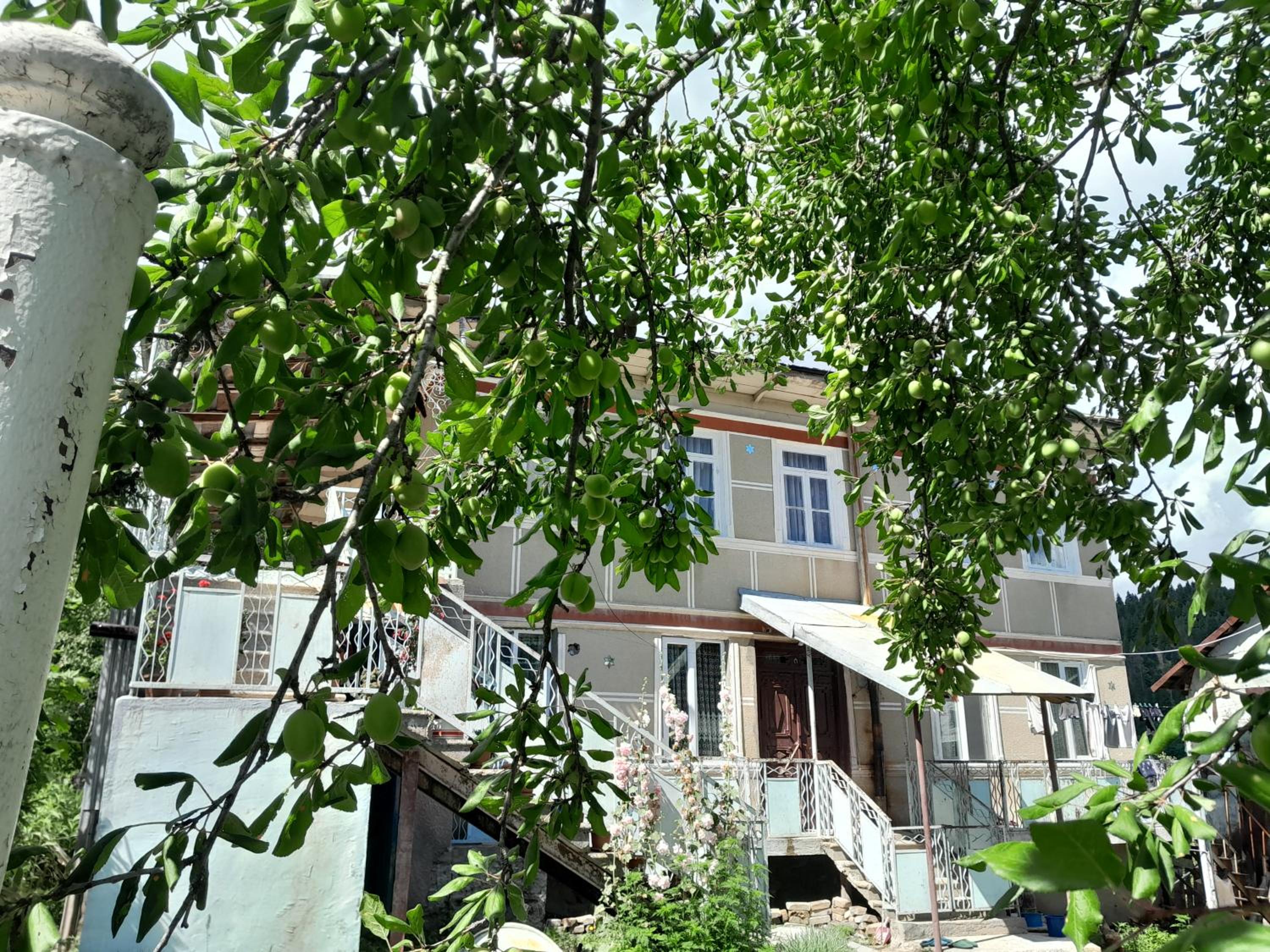 Photo 47