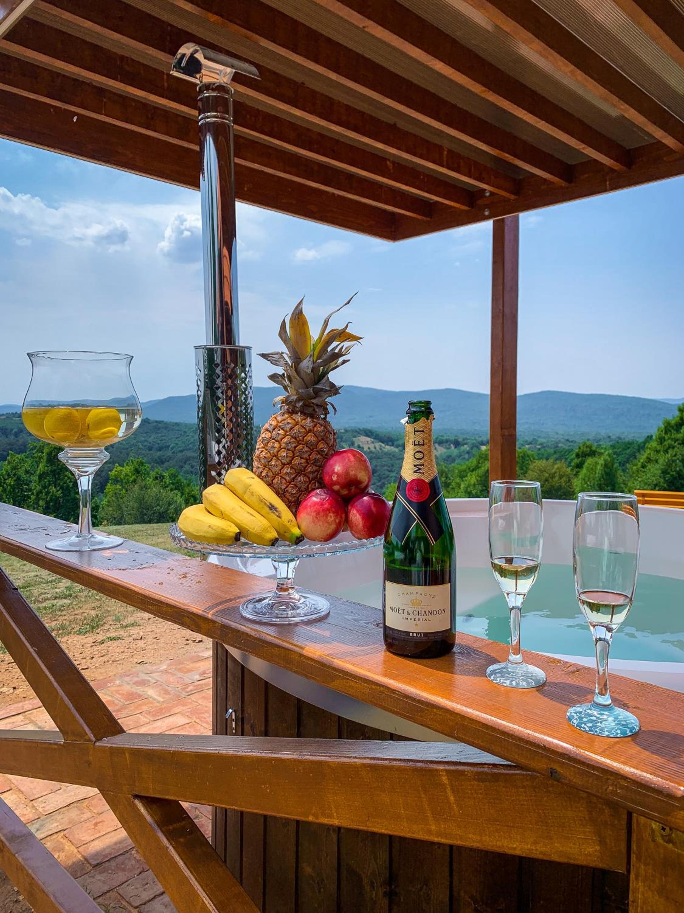 Brvnara Vila Promaja view 3