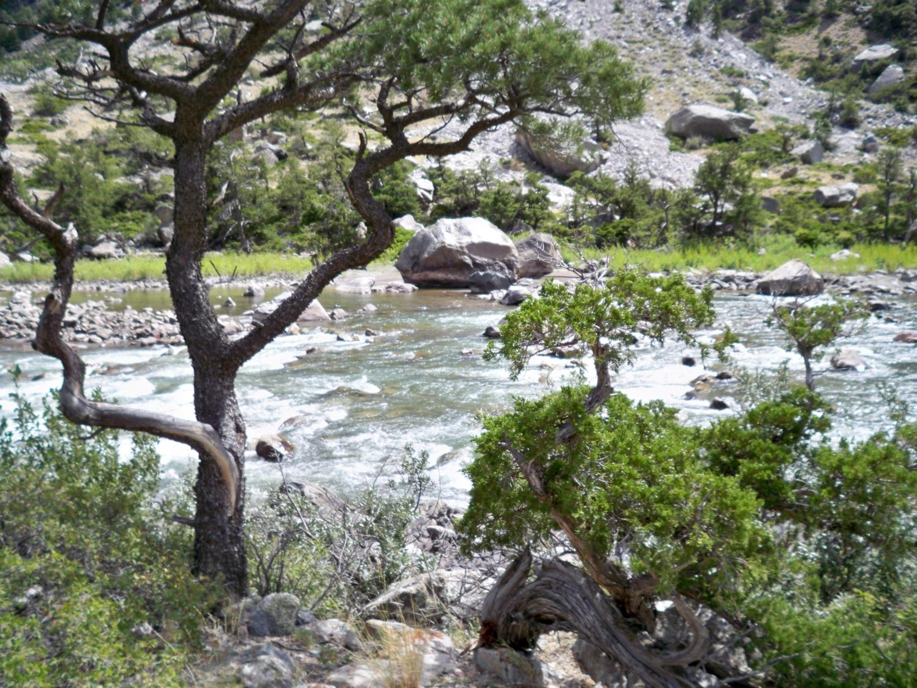 Cody Vacations - Super 8 by Wyndham Cody - Property Image 3