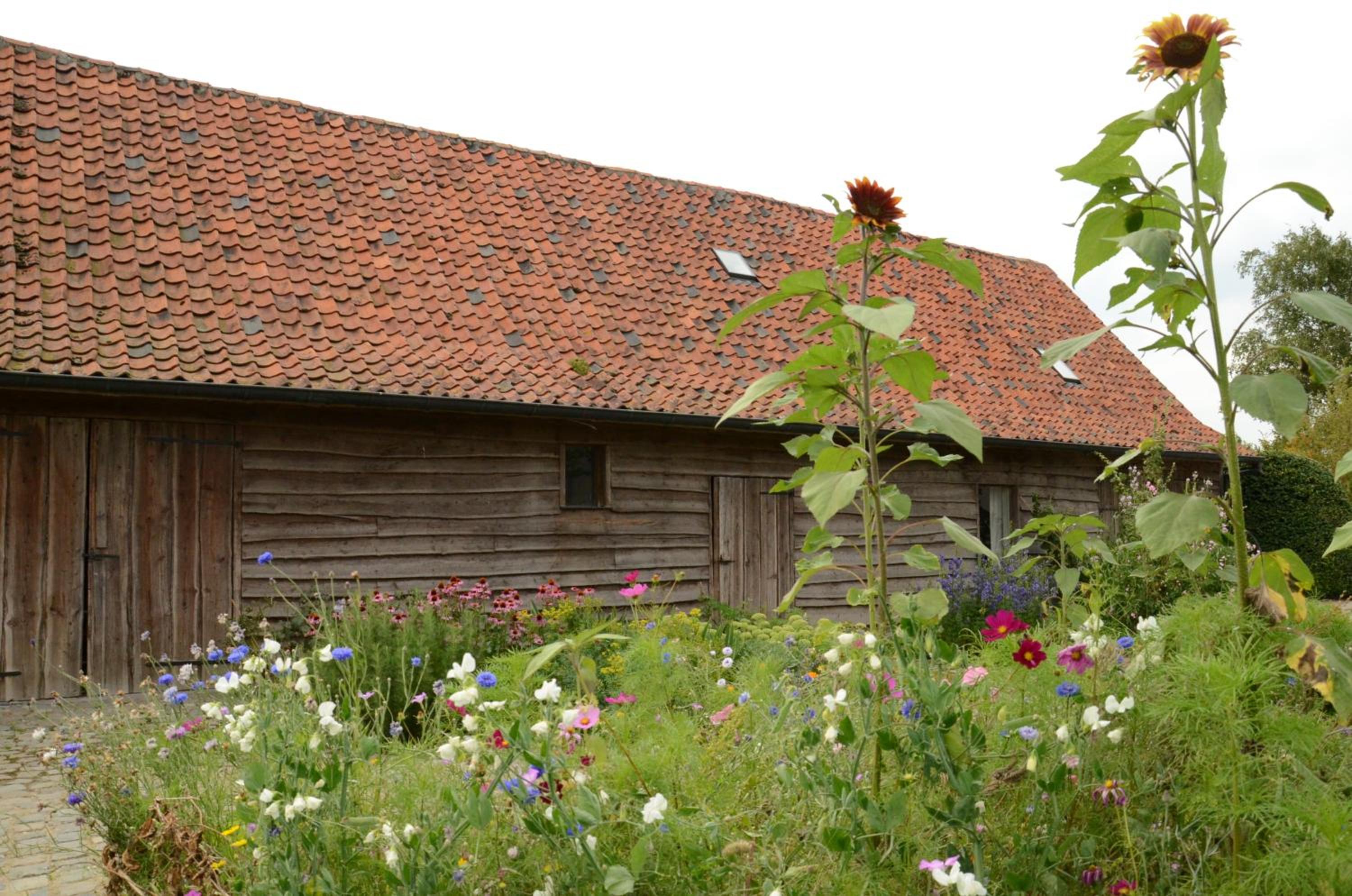 B&B De Hulst