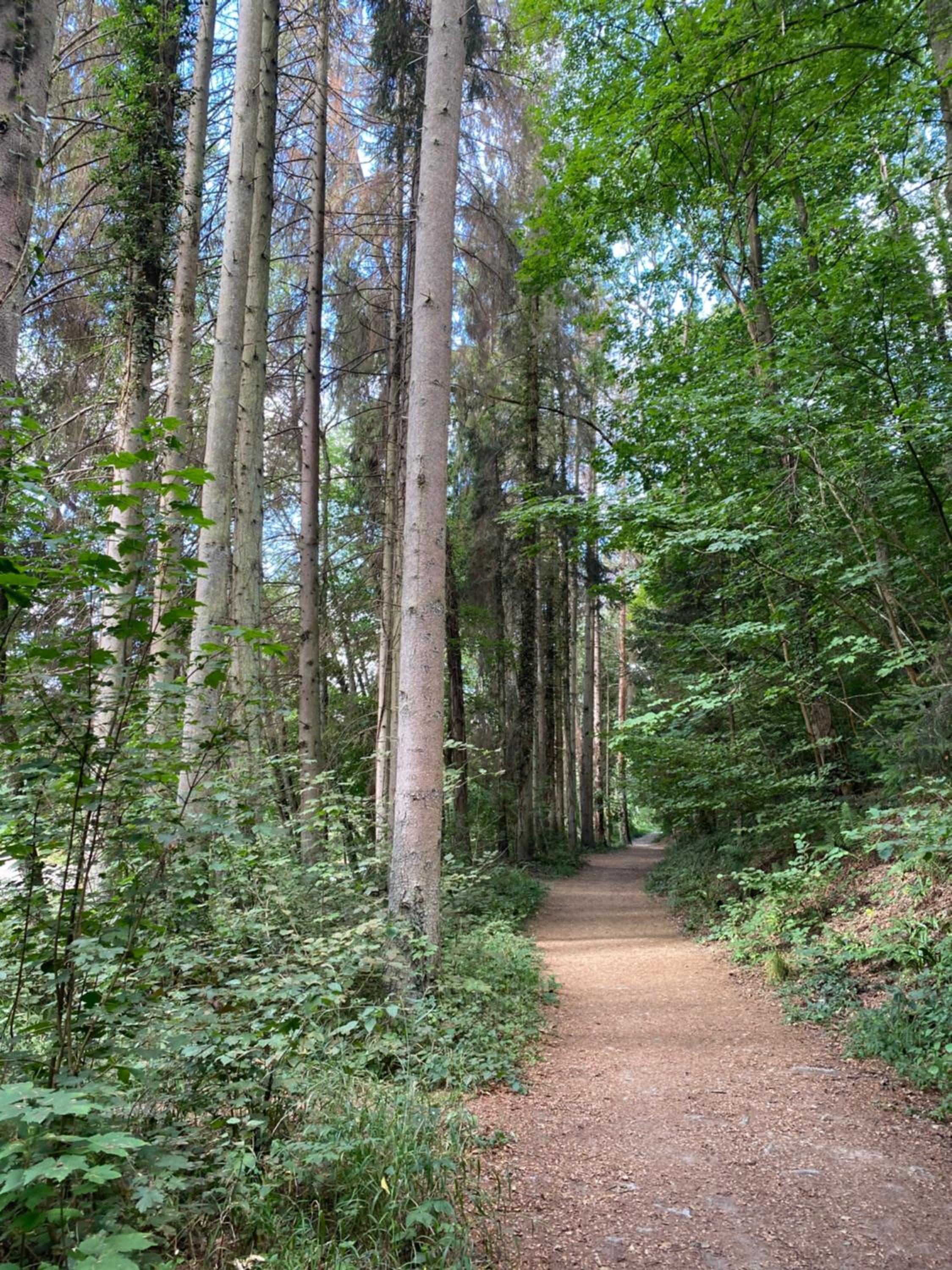 Photo 45