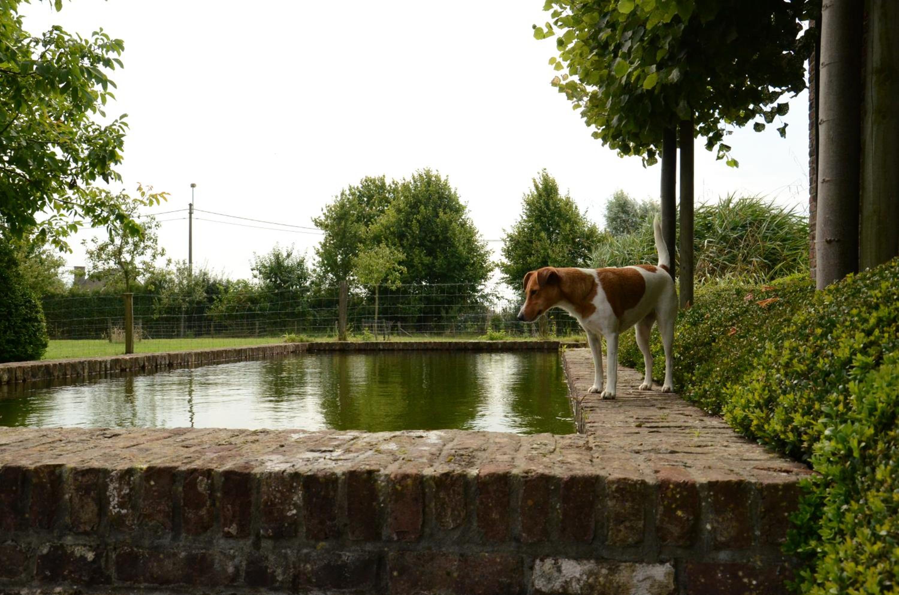 B&B De Hulst