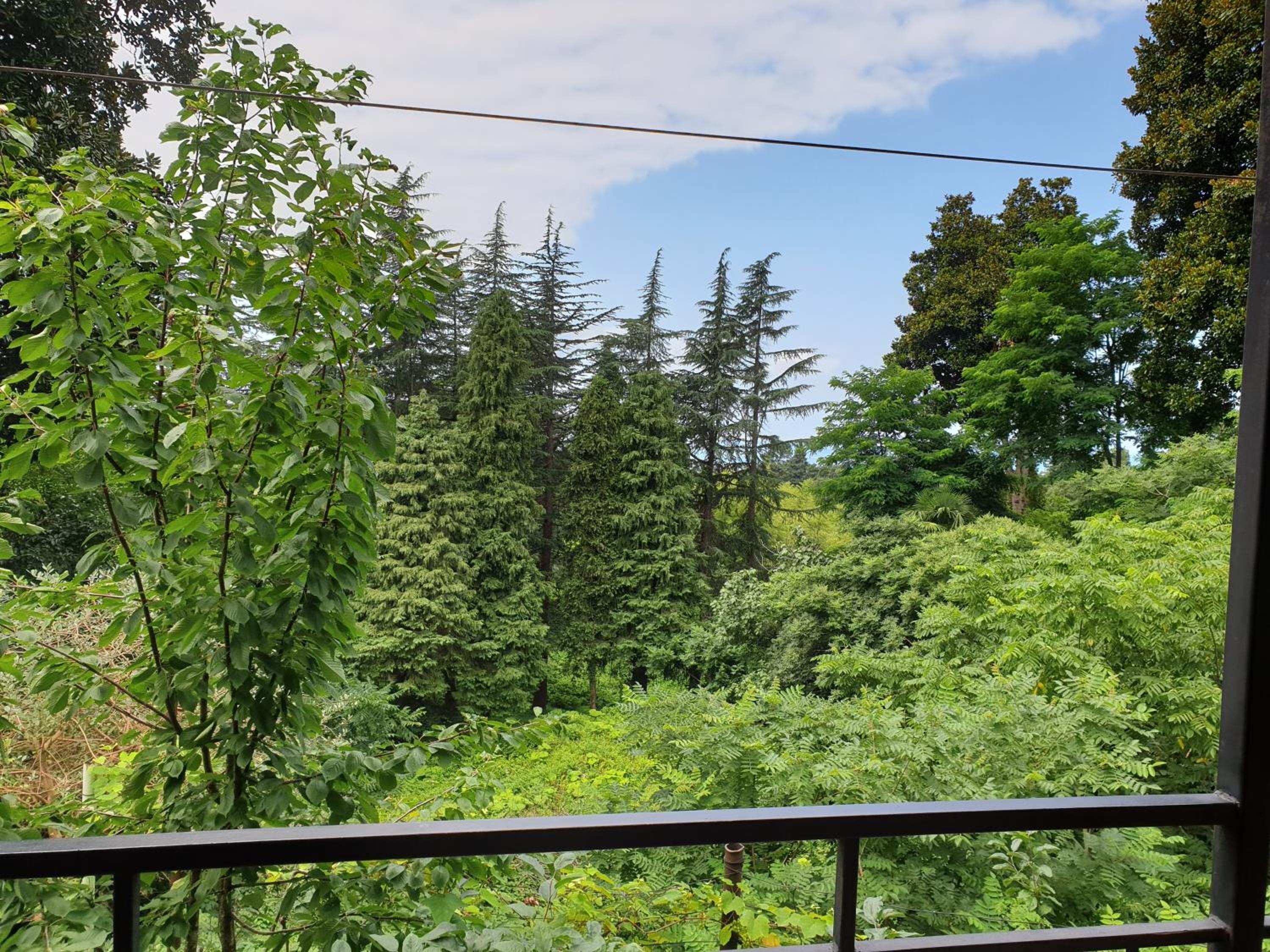 Green paradise