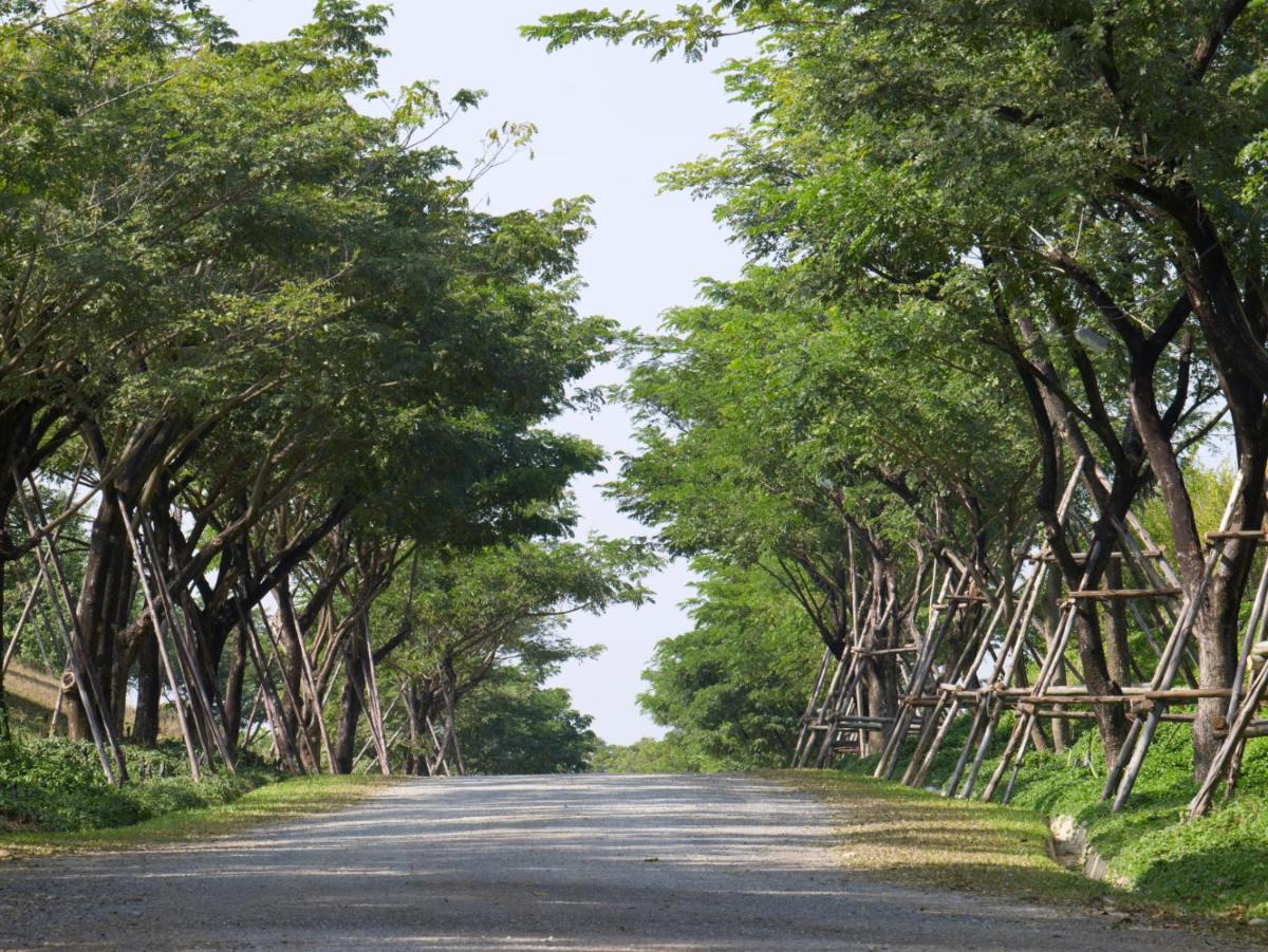 Intercontinental Khao Yai Resort by IHG 91