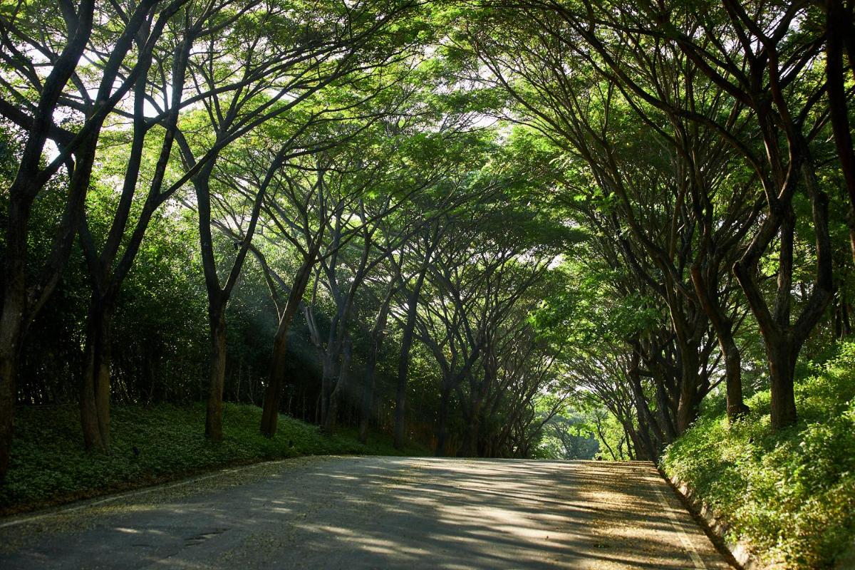 Intercontinental Khao Yai Resort by IHG 92