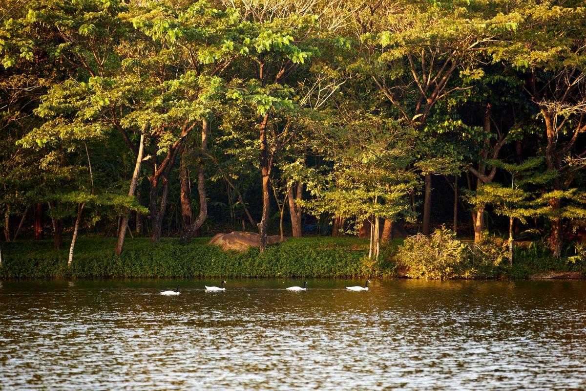 Intercontinental Khao Yai Resort by IHG 93
