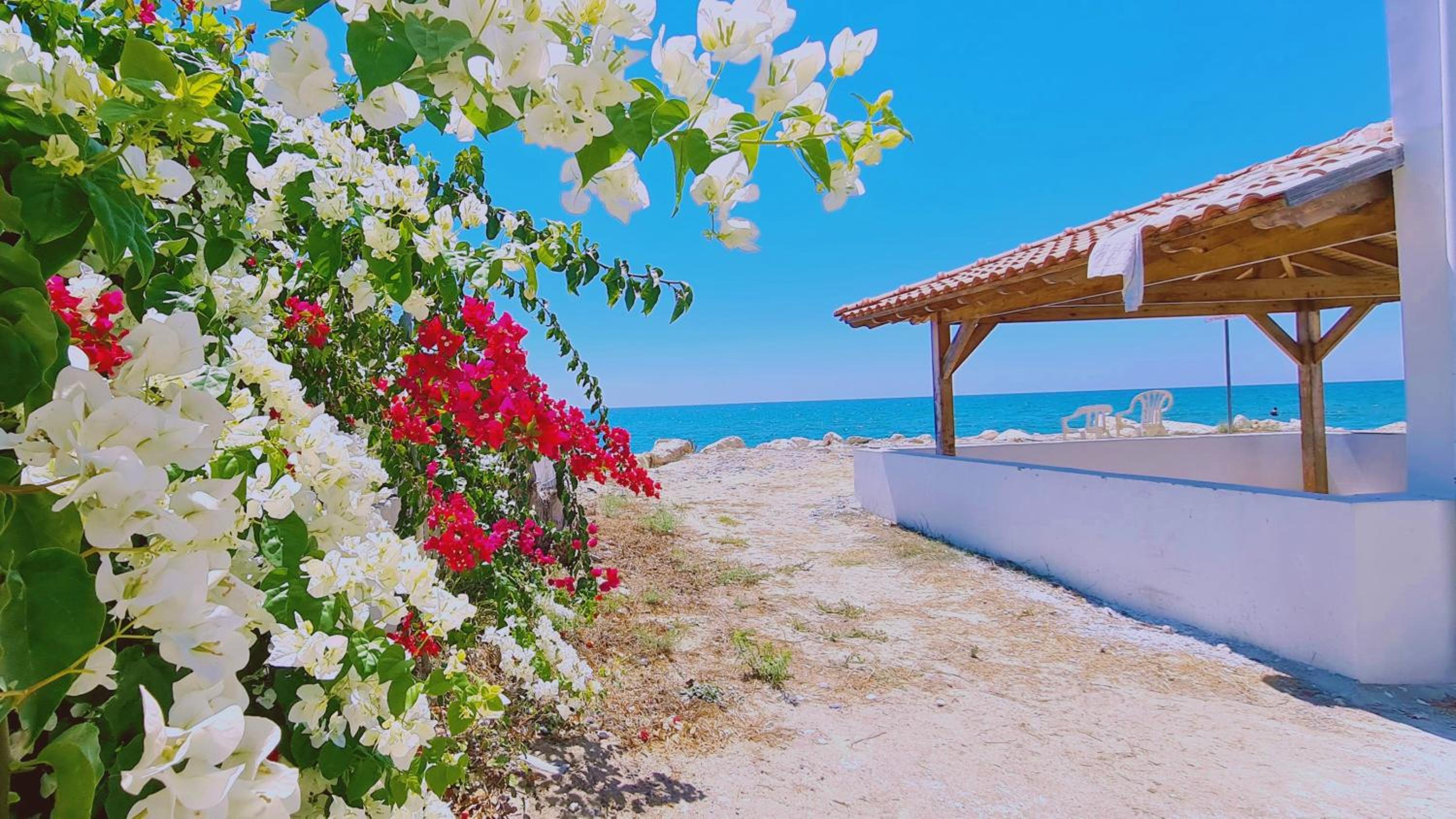 Hotel STAY Sea Gem House - Image 1