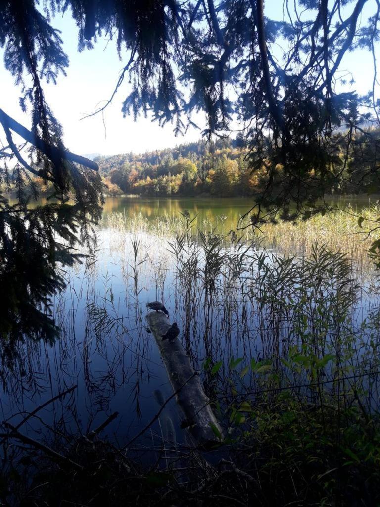 Photo 64