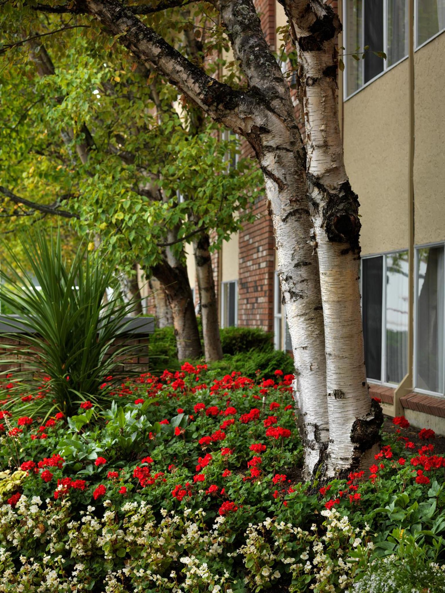 Royal Scot Hotel & Suites-1