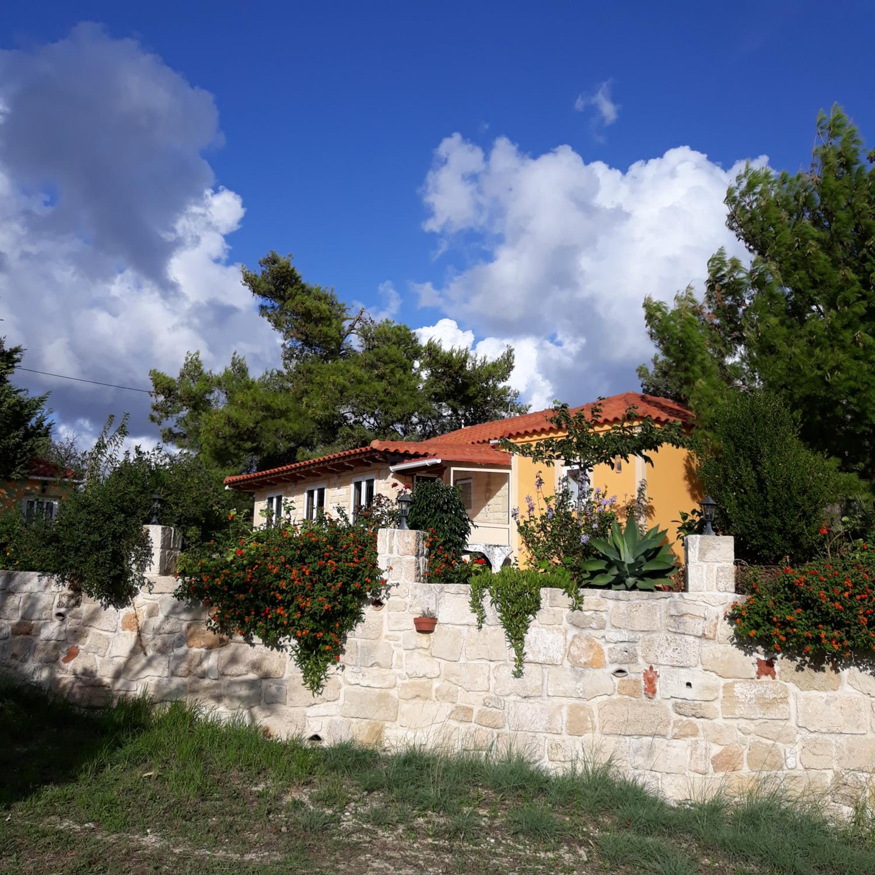 Photo 20