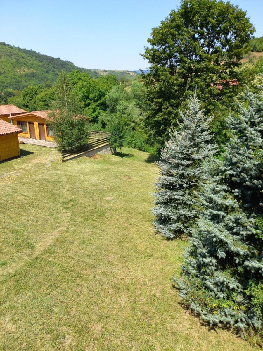 Photo 19