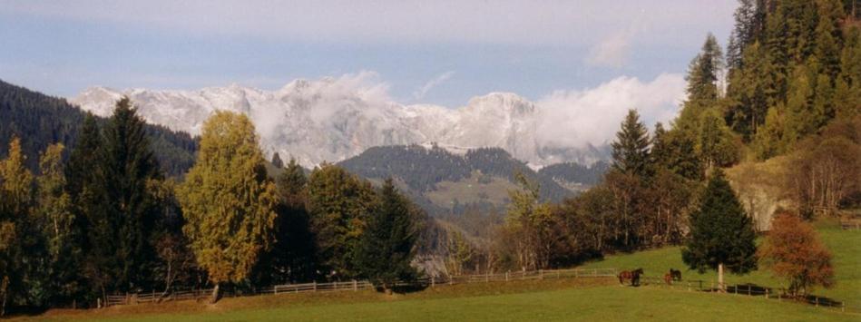 Embacherhof