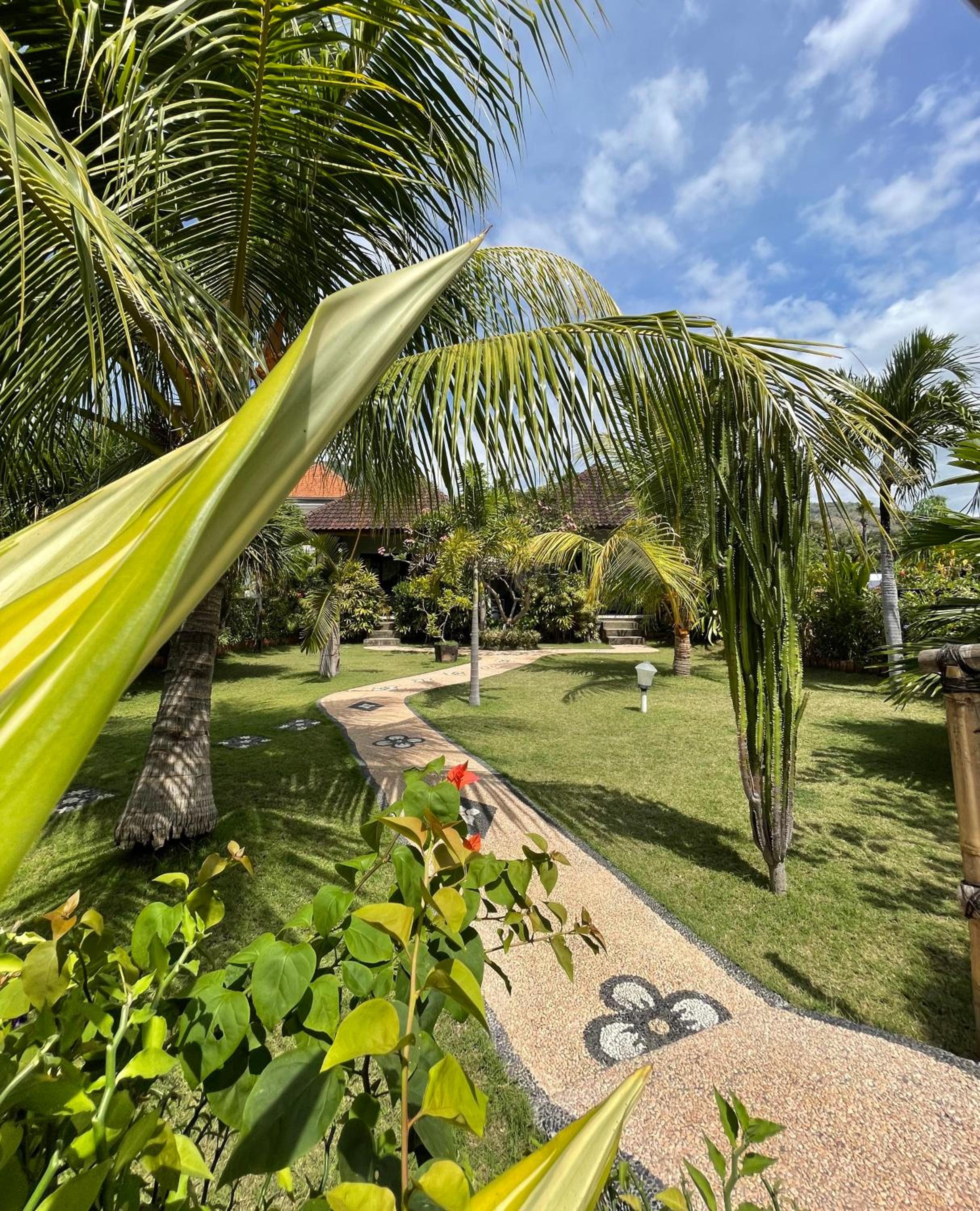 Photo 18