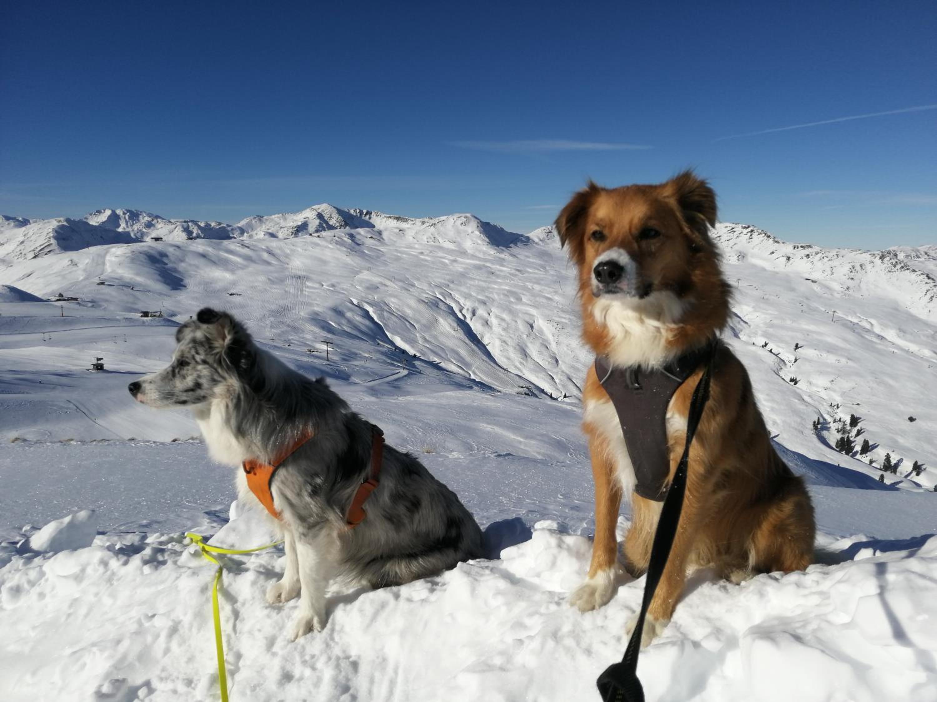 Apartment Hohe Tauern