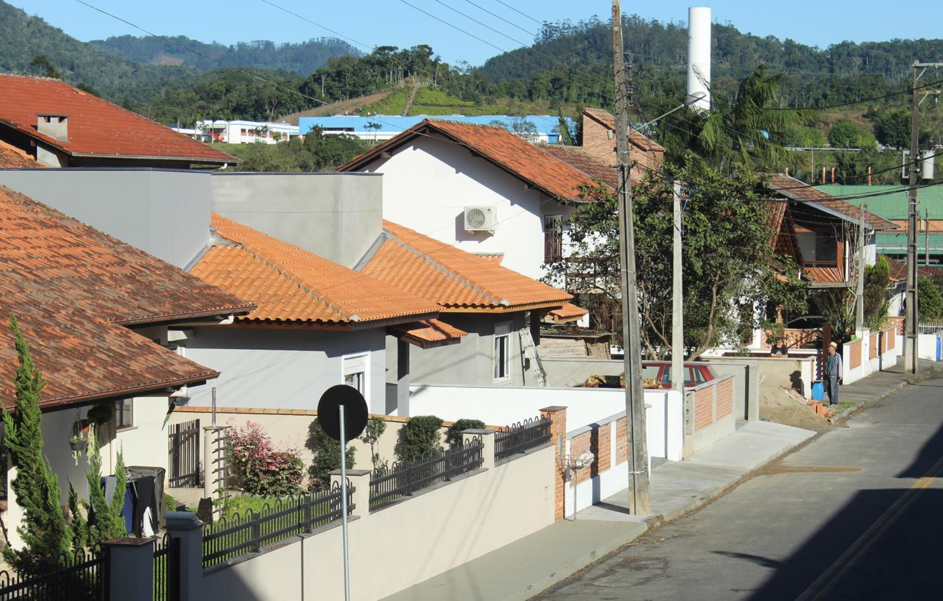 Casatua