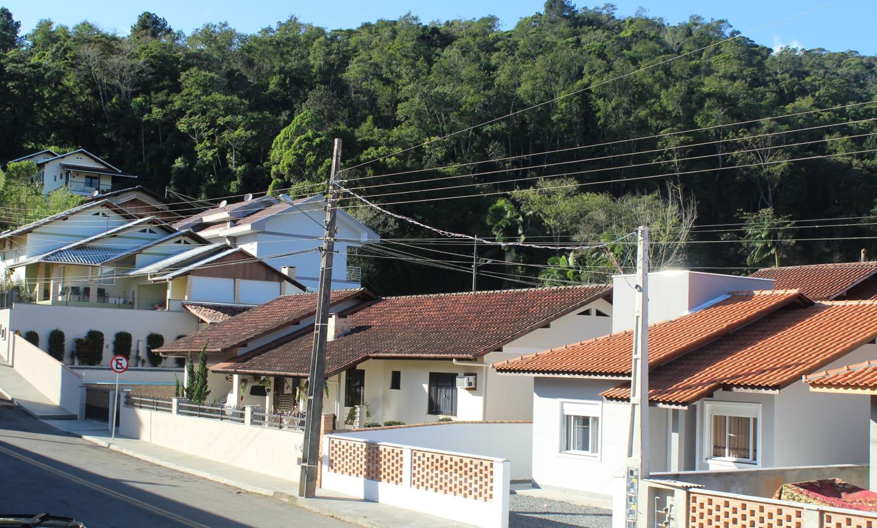 Casatua