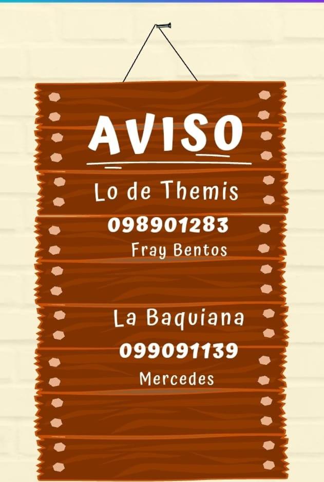 Lo de Themis view 4