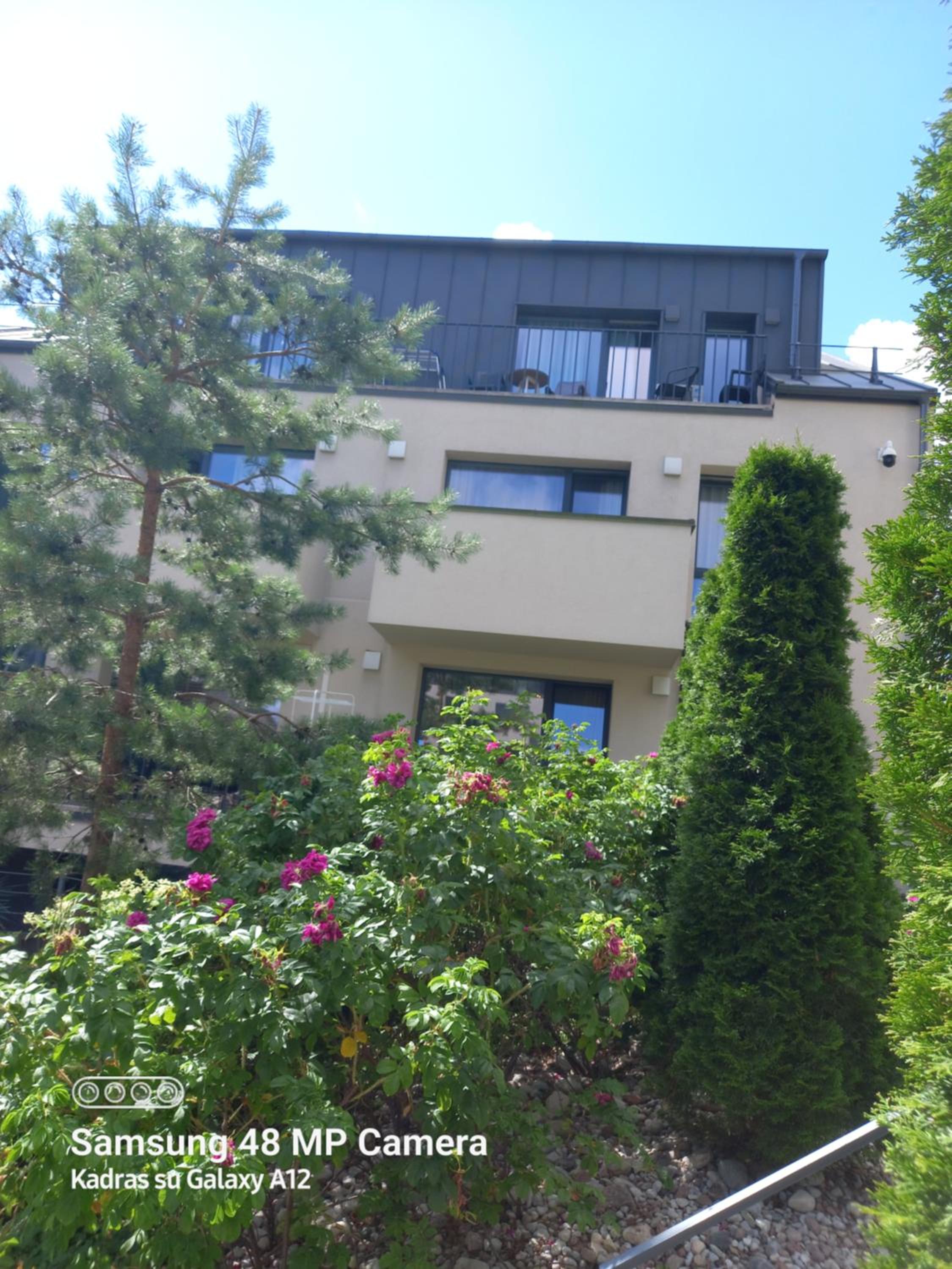 Dviejų kambarių butas