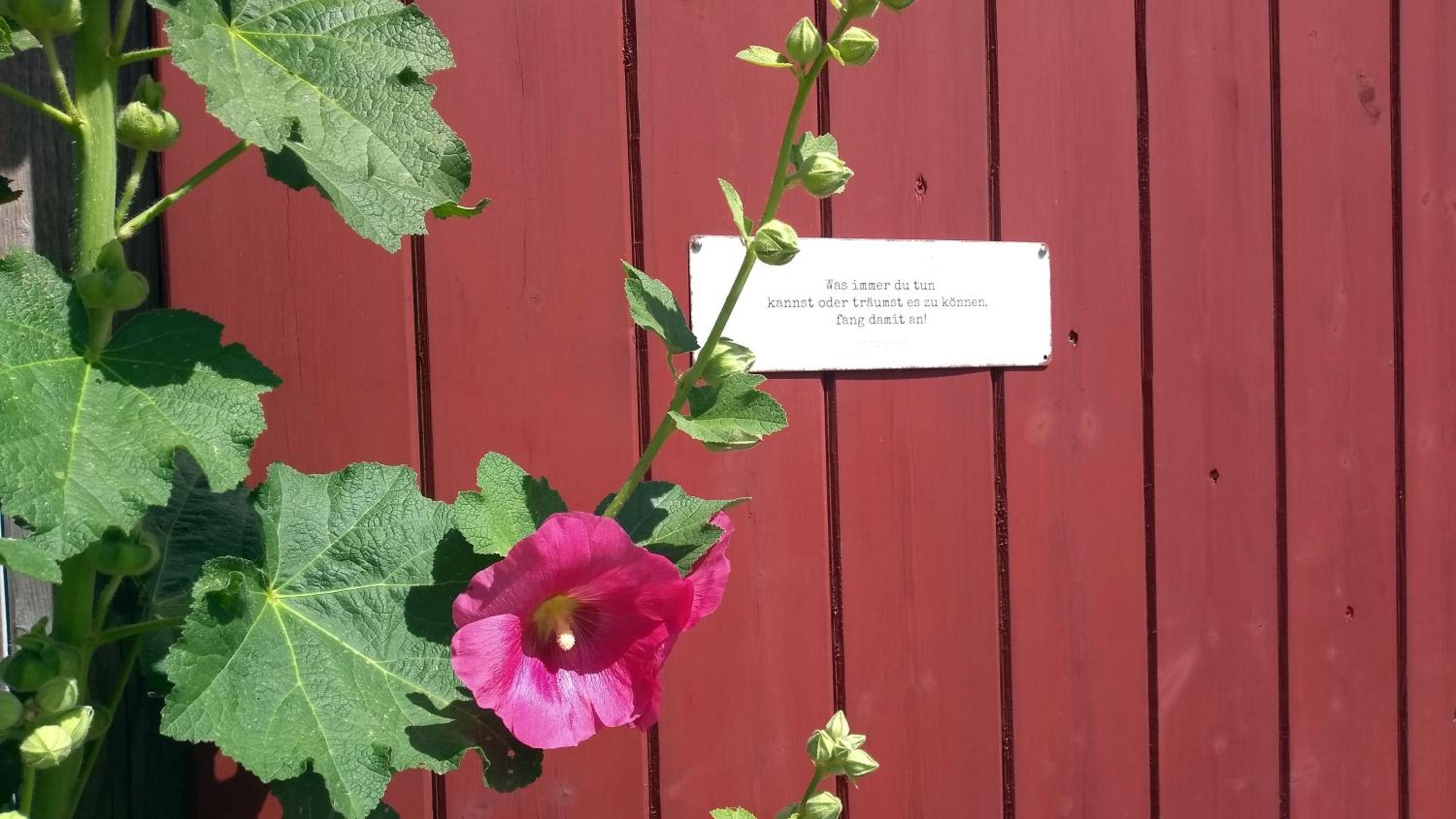Lindhus Grödersby