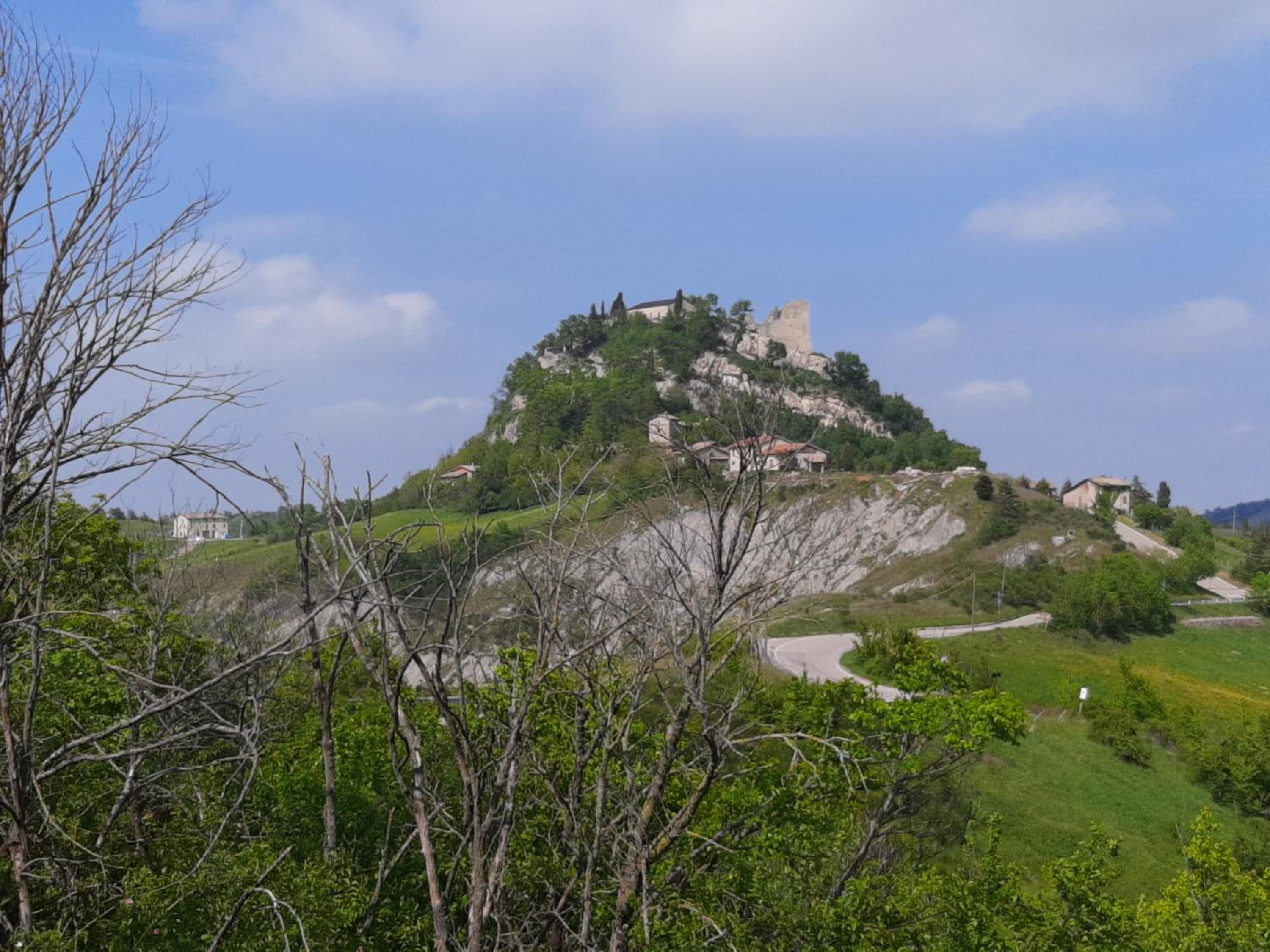 Photo 49