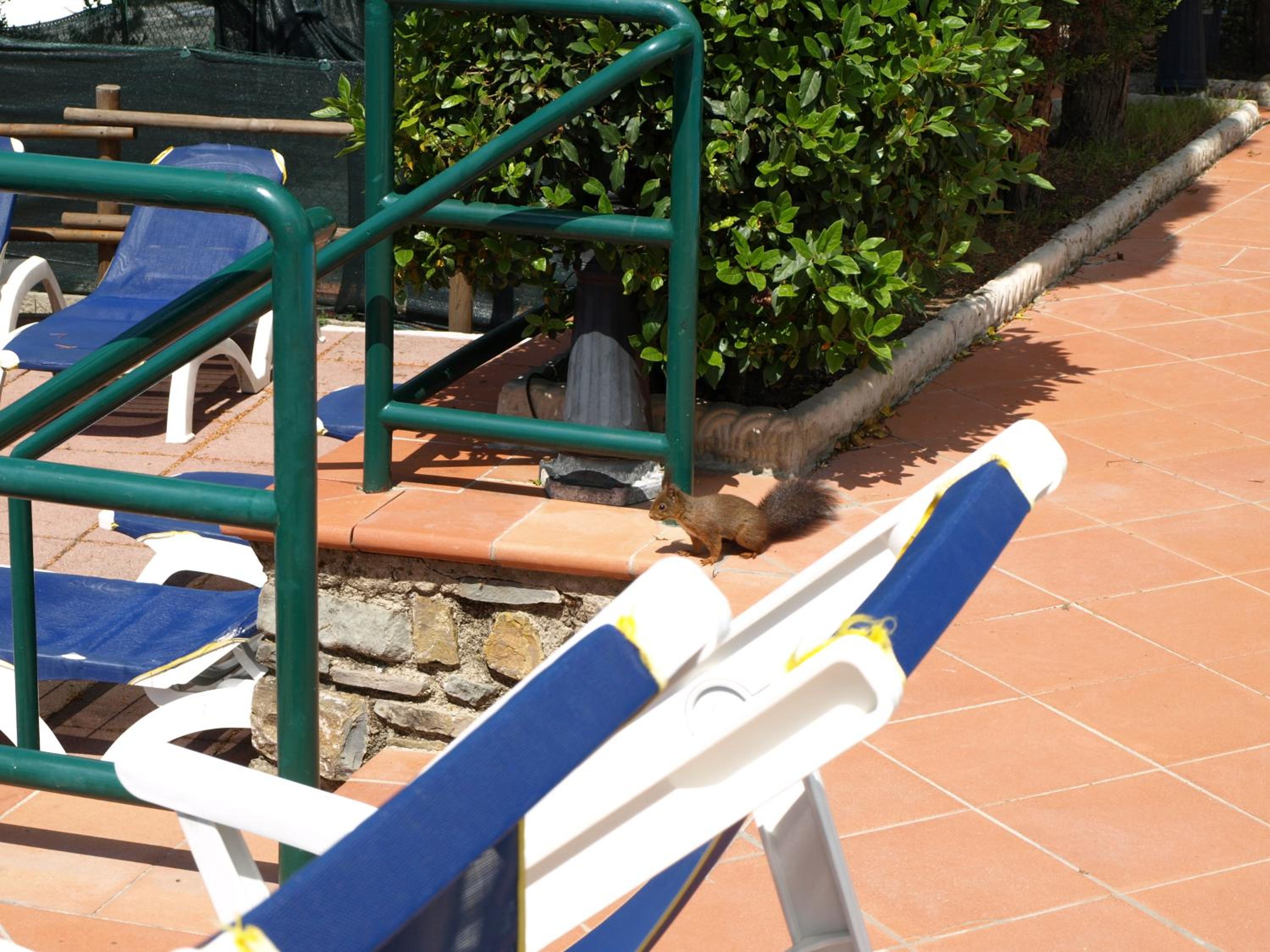 Camping Village Panoramico Fiesole
