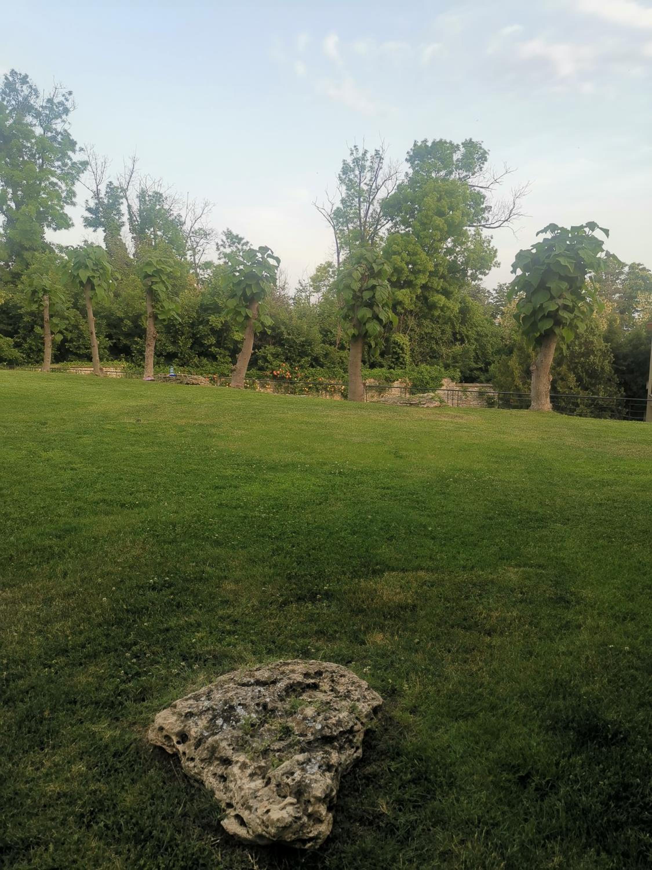 Photo 27