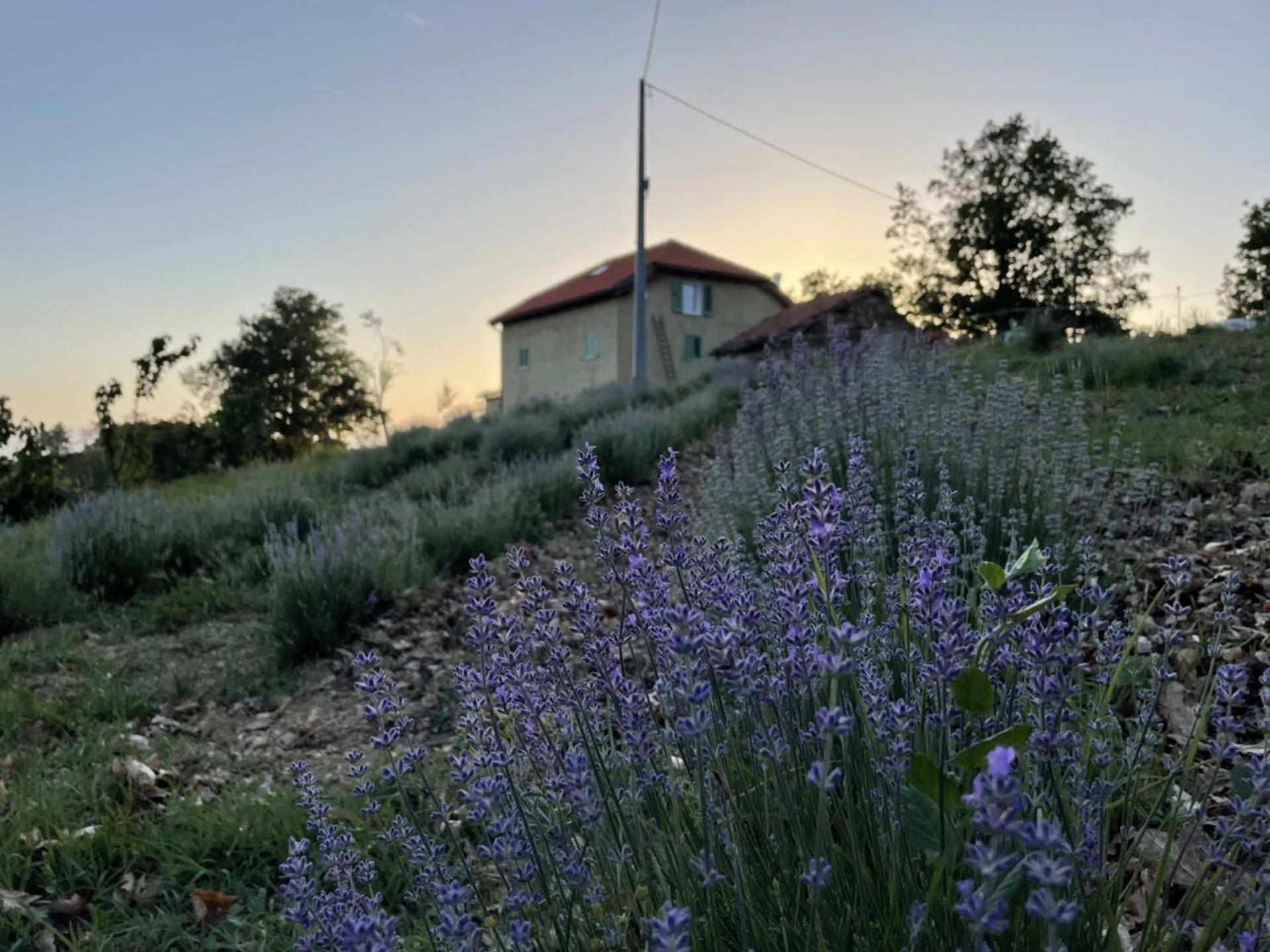 Agriturismo Cascina Cornelli