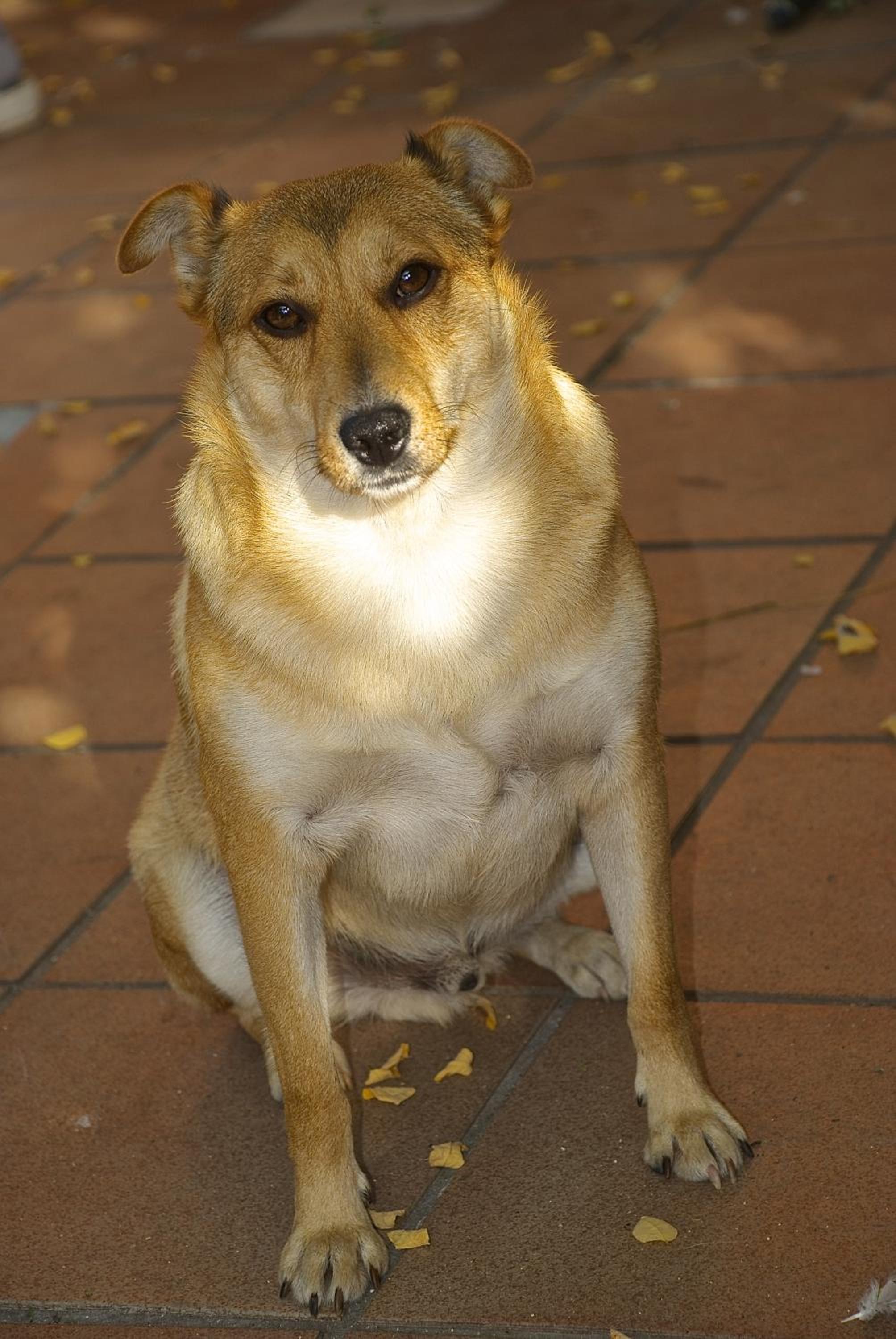 Photo 28