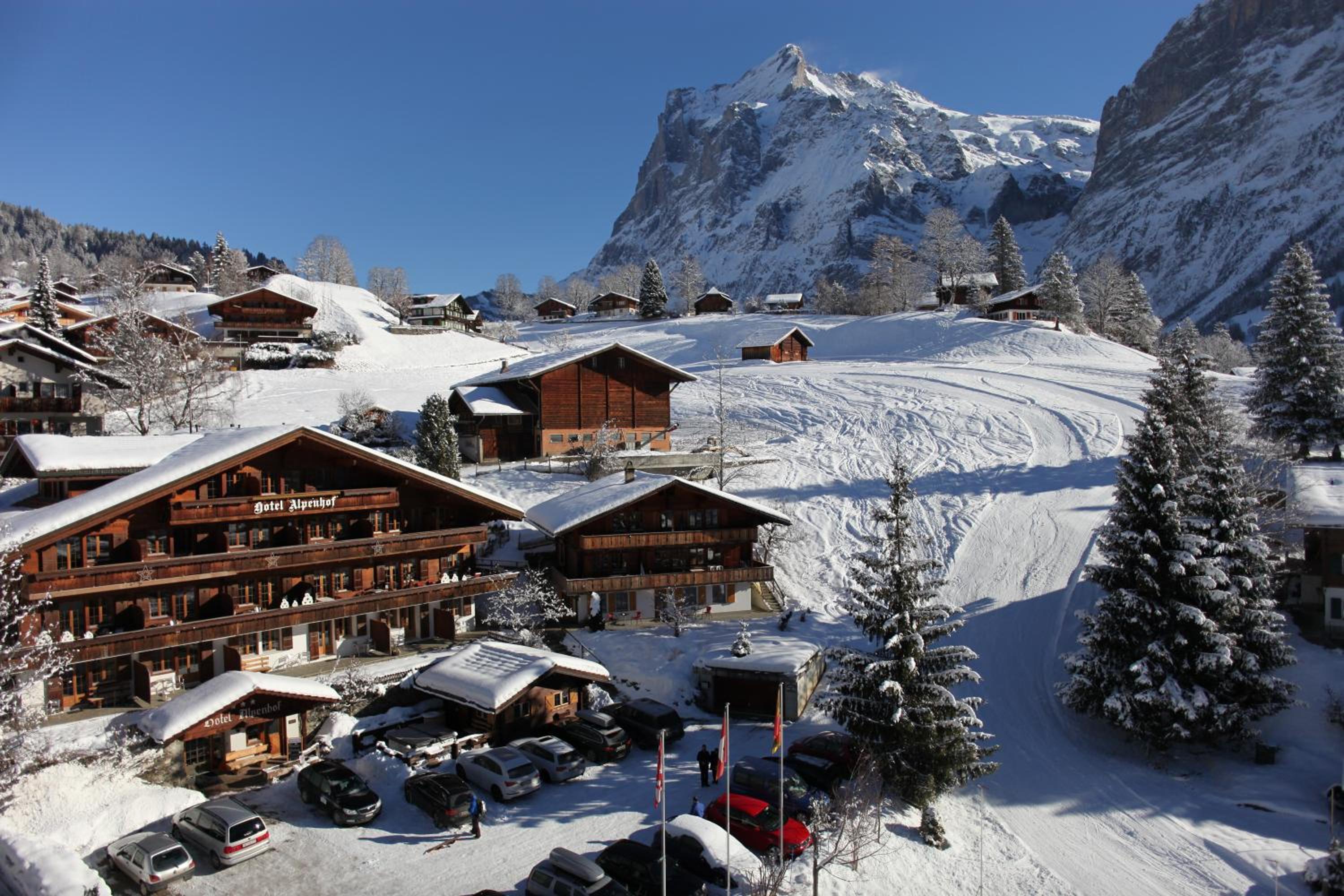 Hotel Alpenhof - Image 1