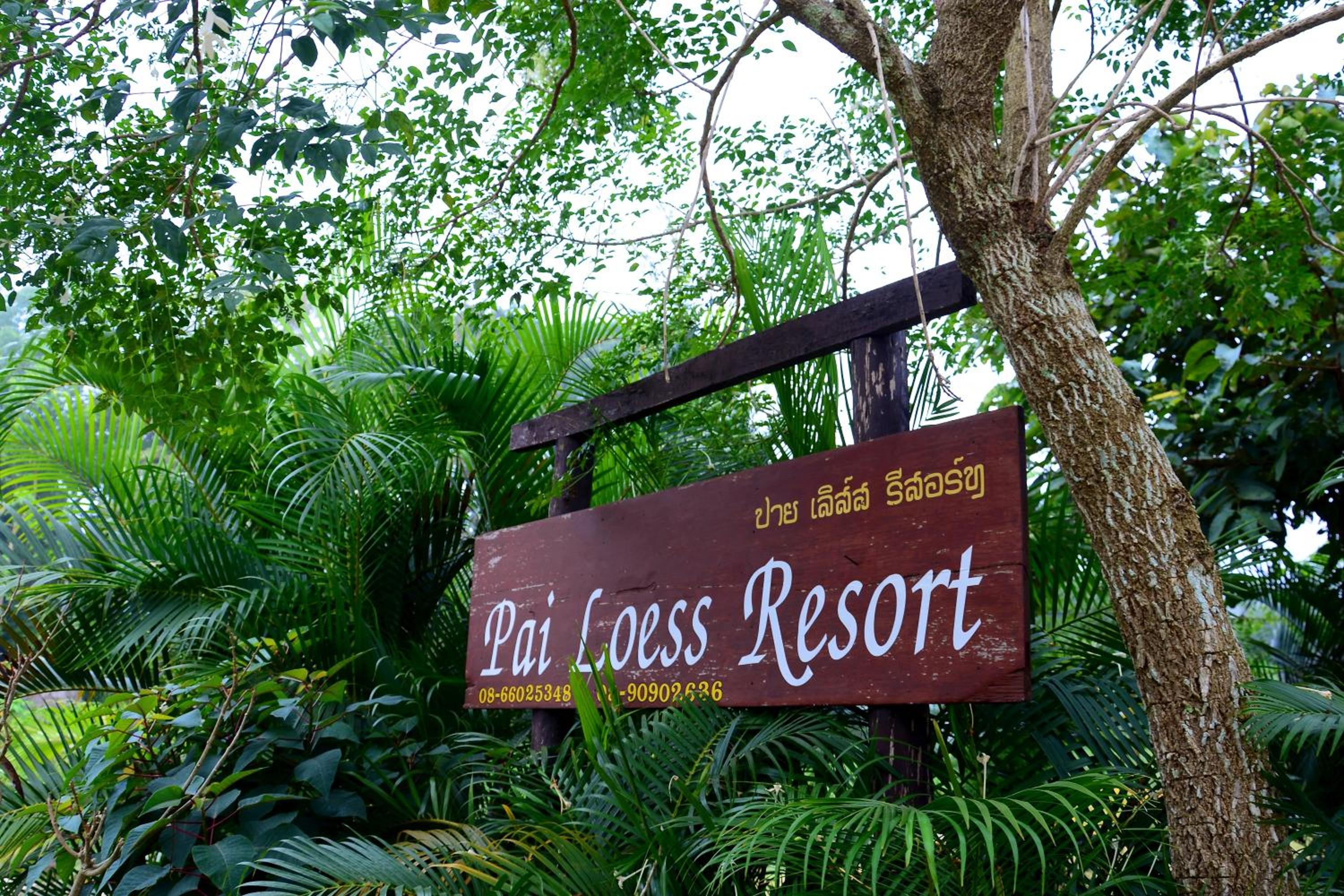 Pai Loess Resort
