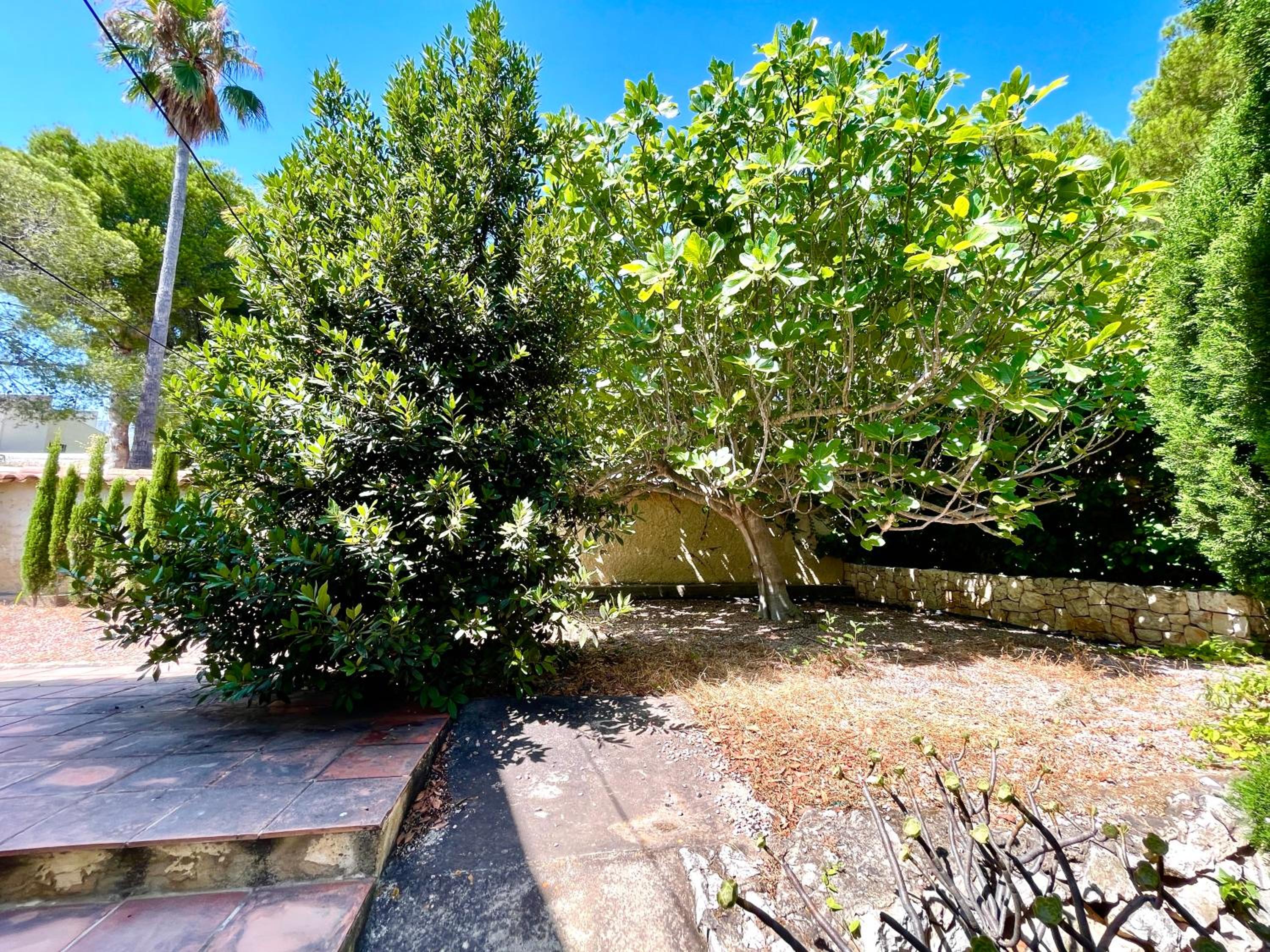 Villa de estilo español con jardín y piscina view 2