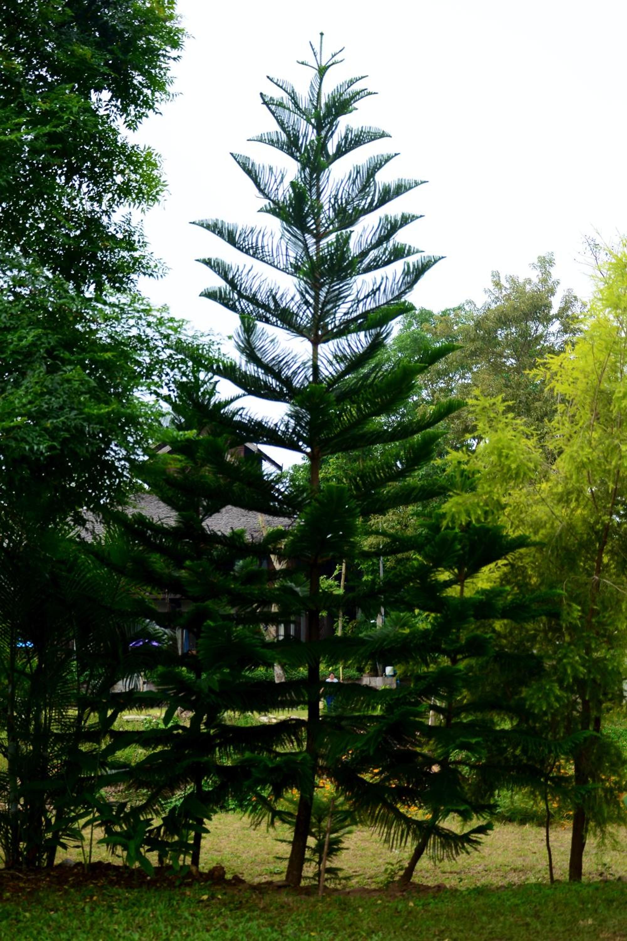 Pai Loess Resort