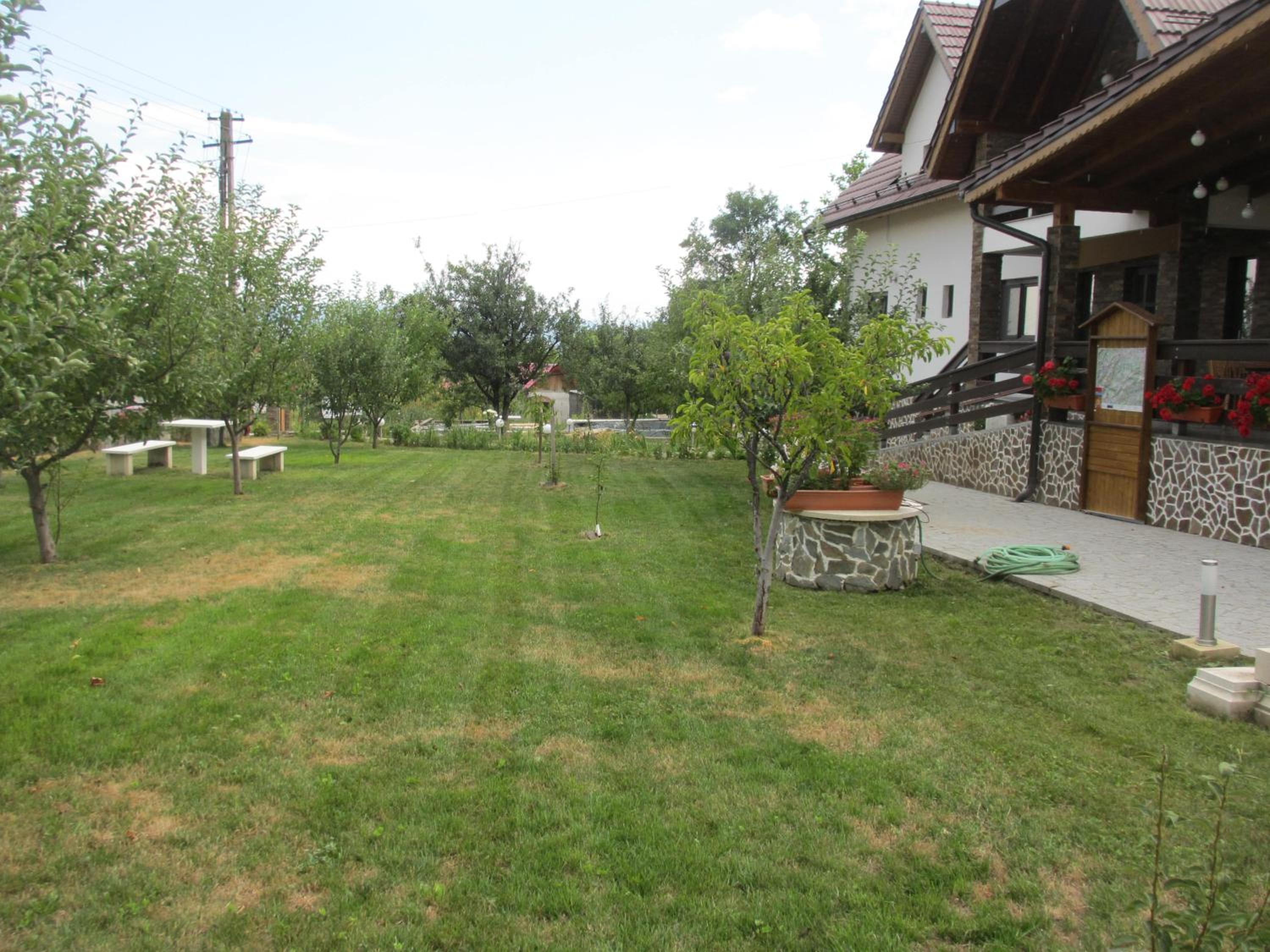 Photo 59