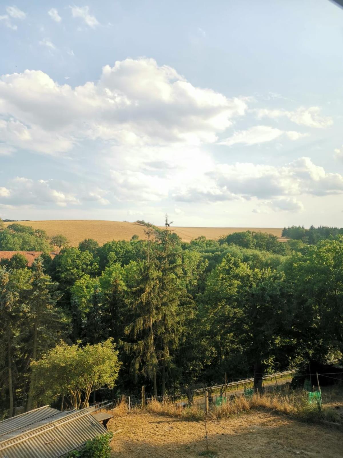 Gutshof und Ferienwohnung Proft