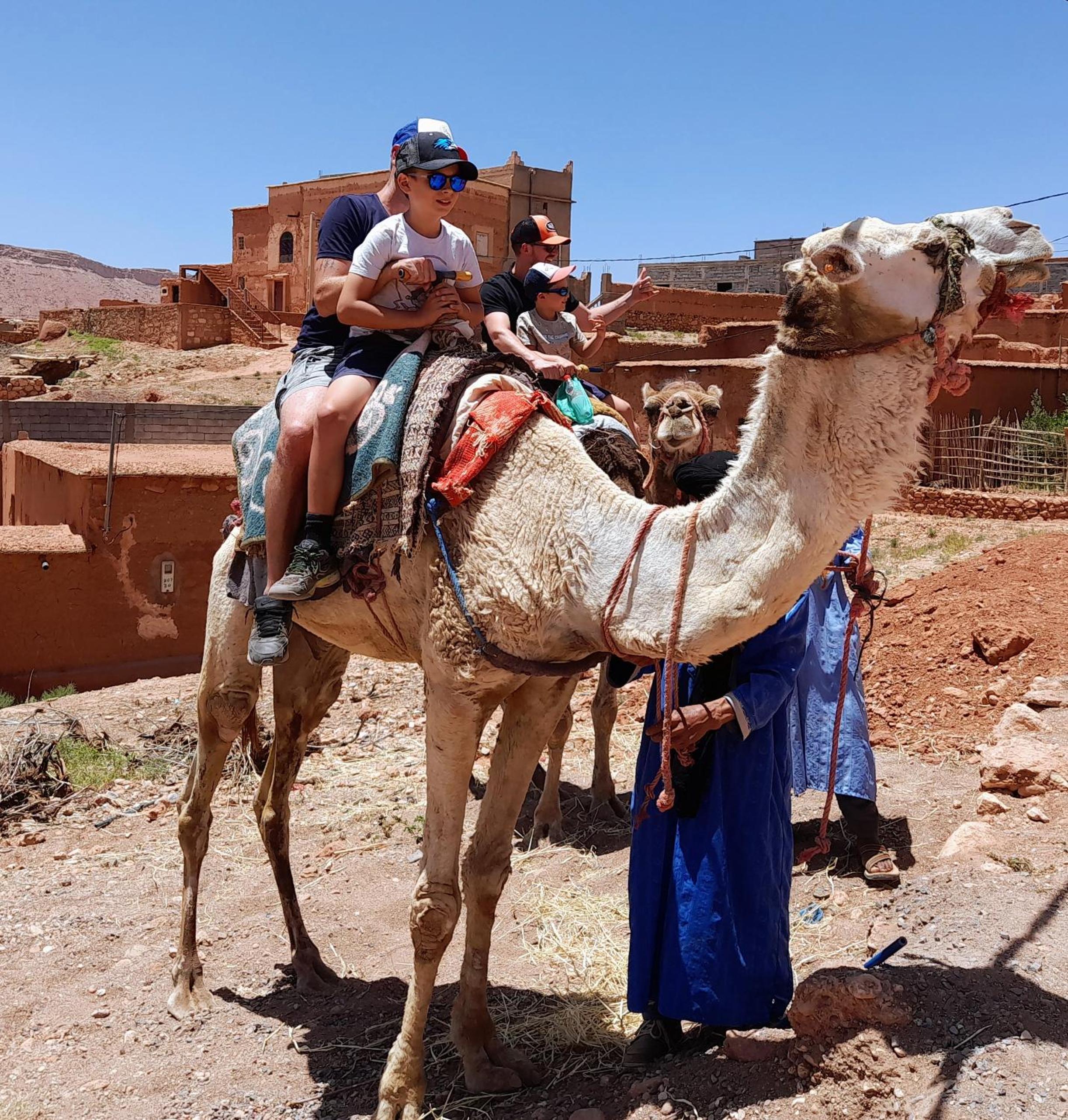 Kasbah La Cigogne