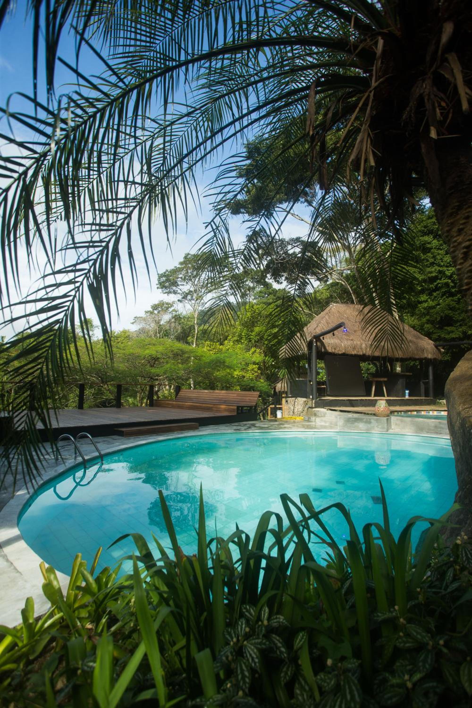 Rain Forest Paradise